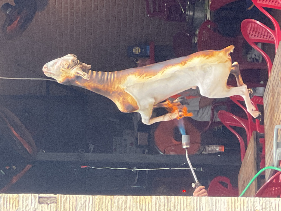 Food vendor processes goat carcass with torch in Nha Trang
