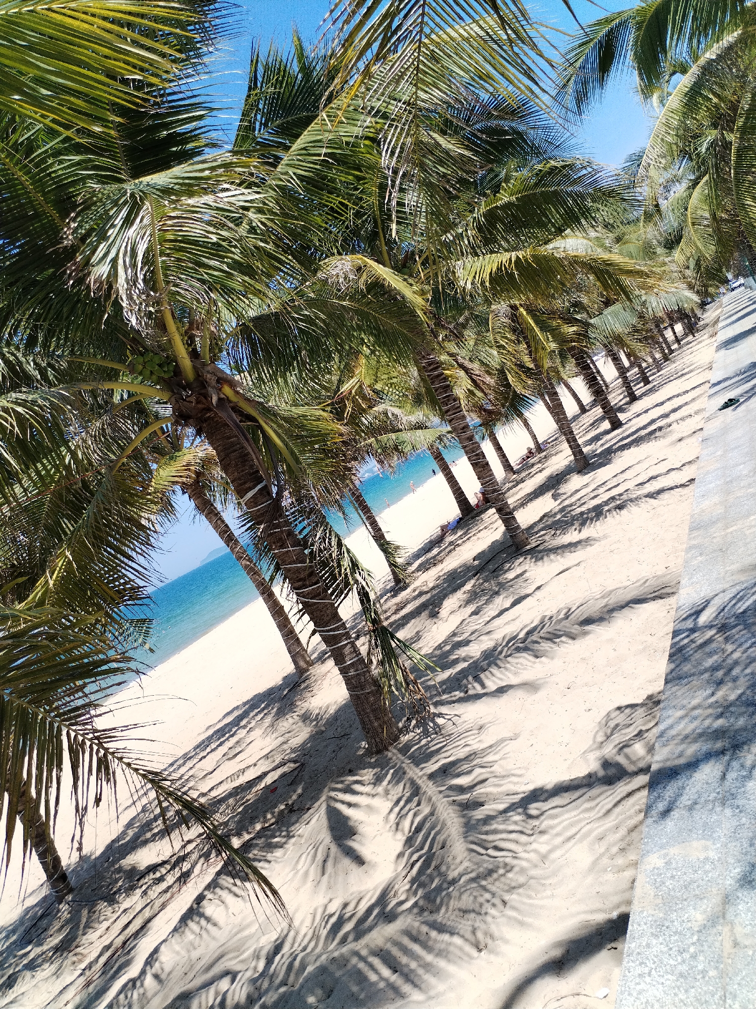 Sunny morning scenes along Nha Trang's beachfront and streets