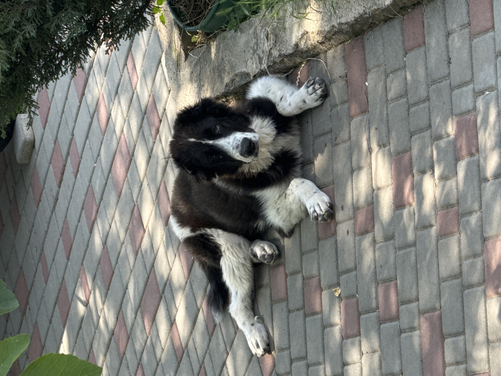 Morning domestic life documented in residential Odesa, Ukraine