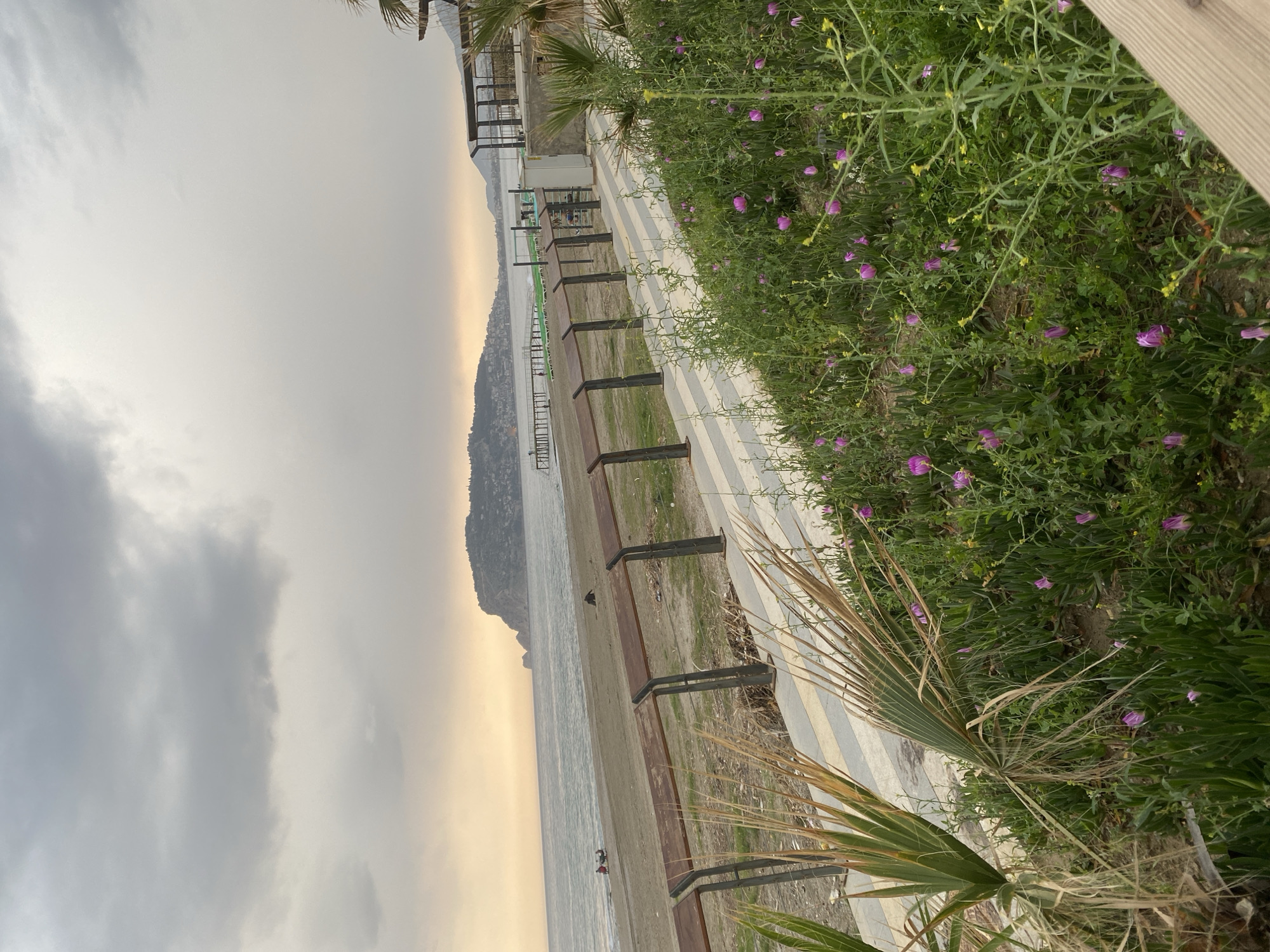 Daily life scenes documented across Alanya, Turkey coastline