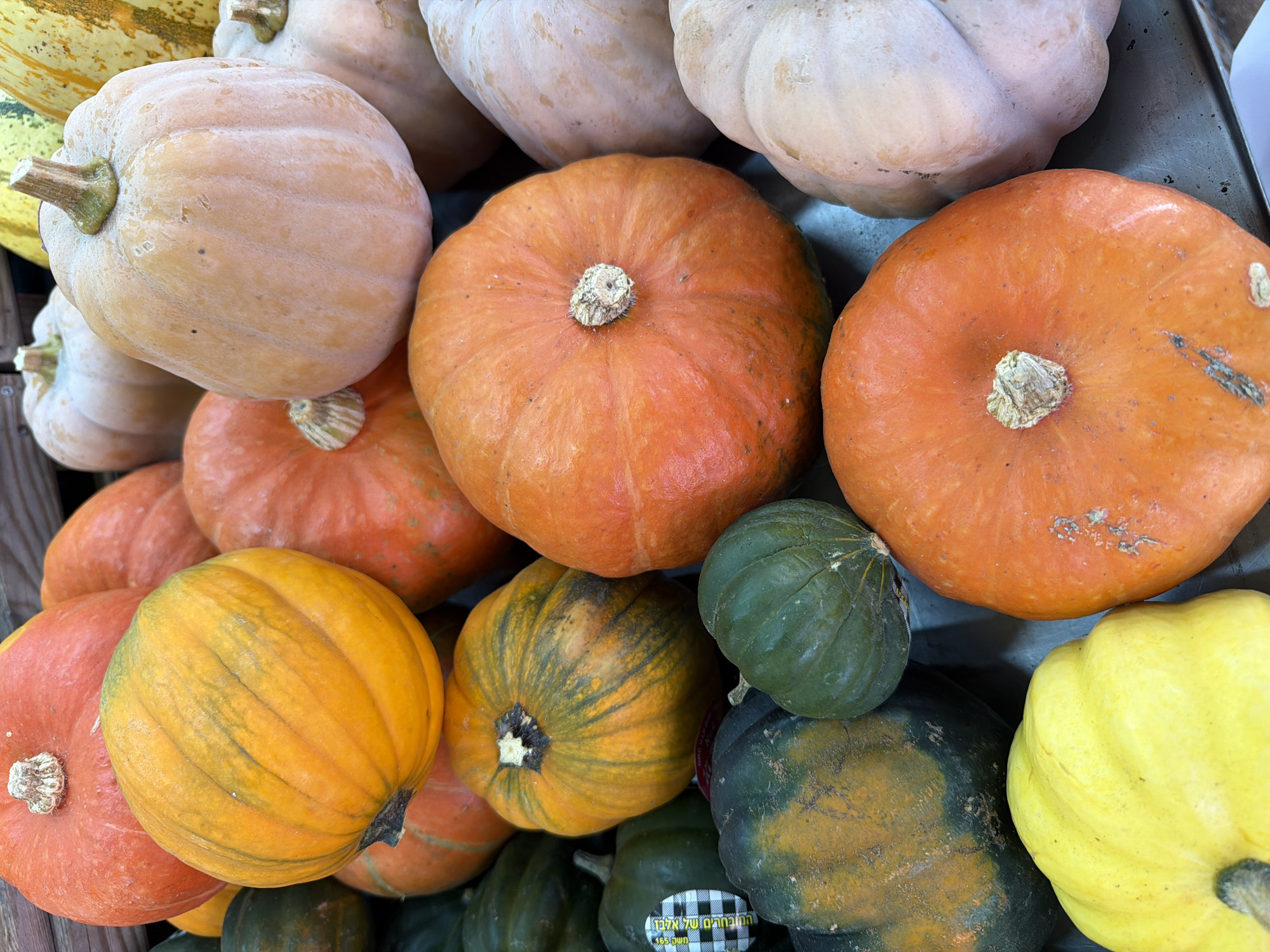 Tel Aviv market overflows with gourds, sunflowers, and red blooms