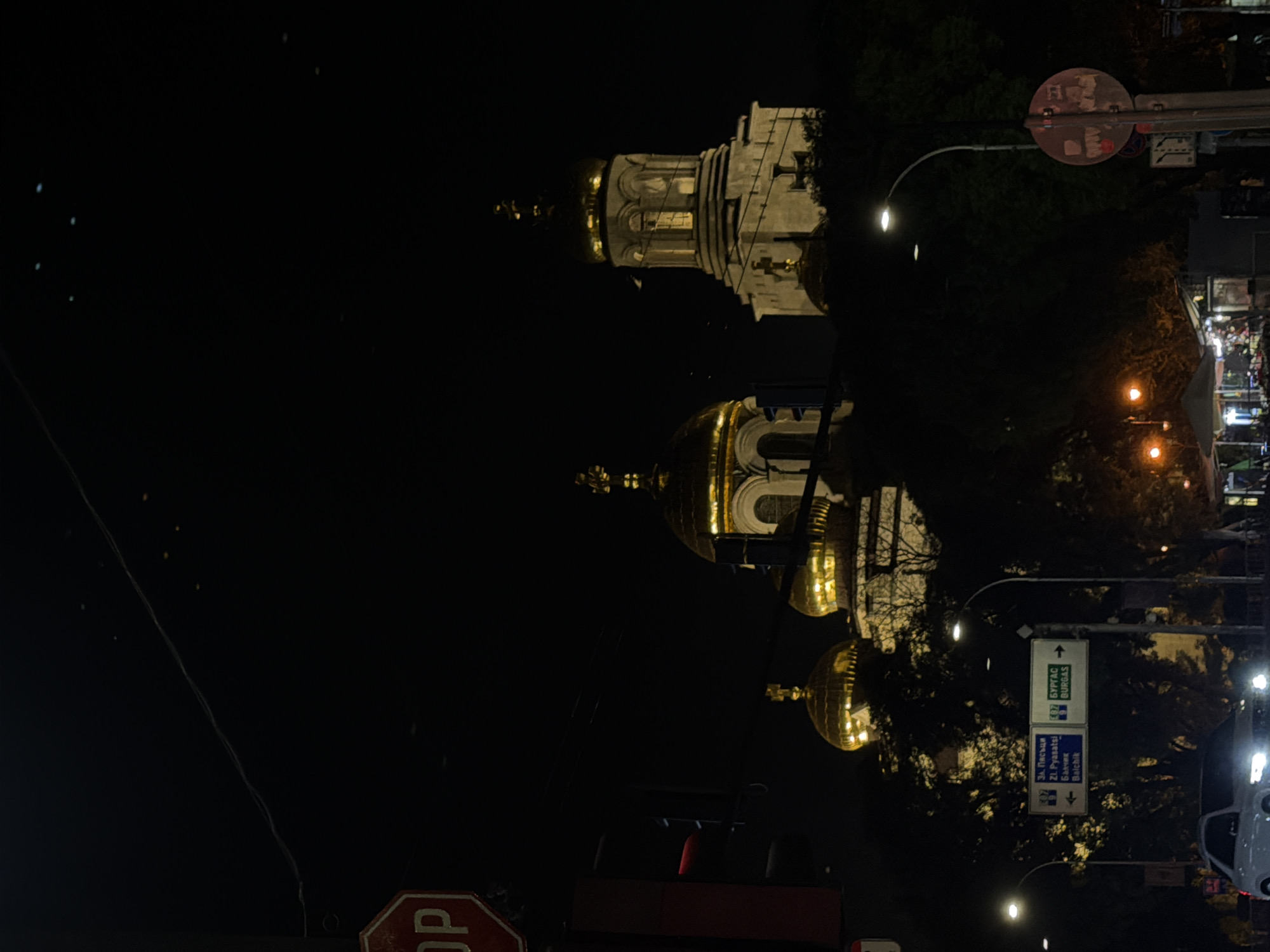 Evening scenes in Varna feature illuminated cathedral, playful dogs