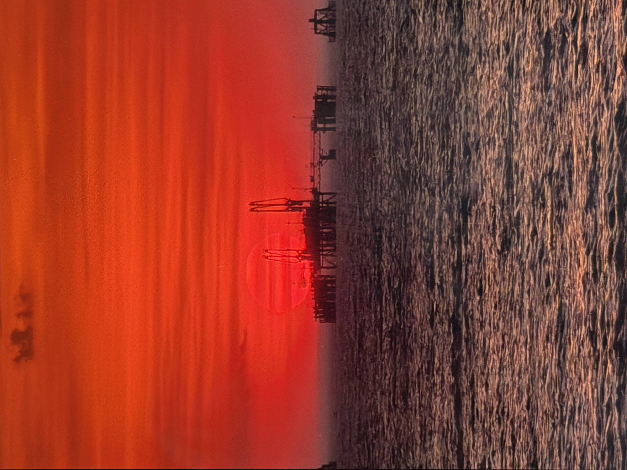 Riverhead evening skies, sunset over the ocean, and backyard details
