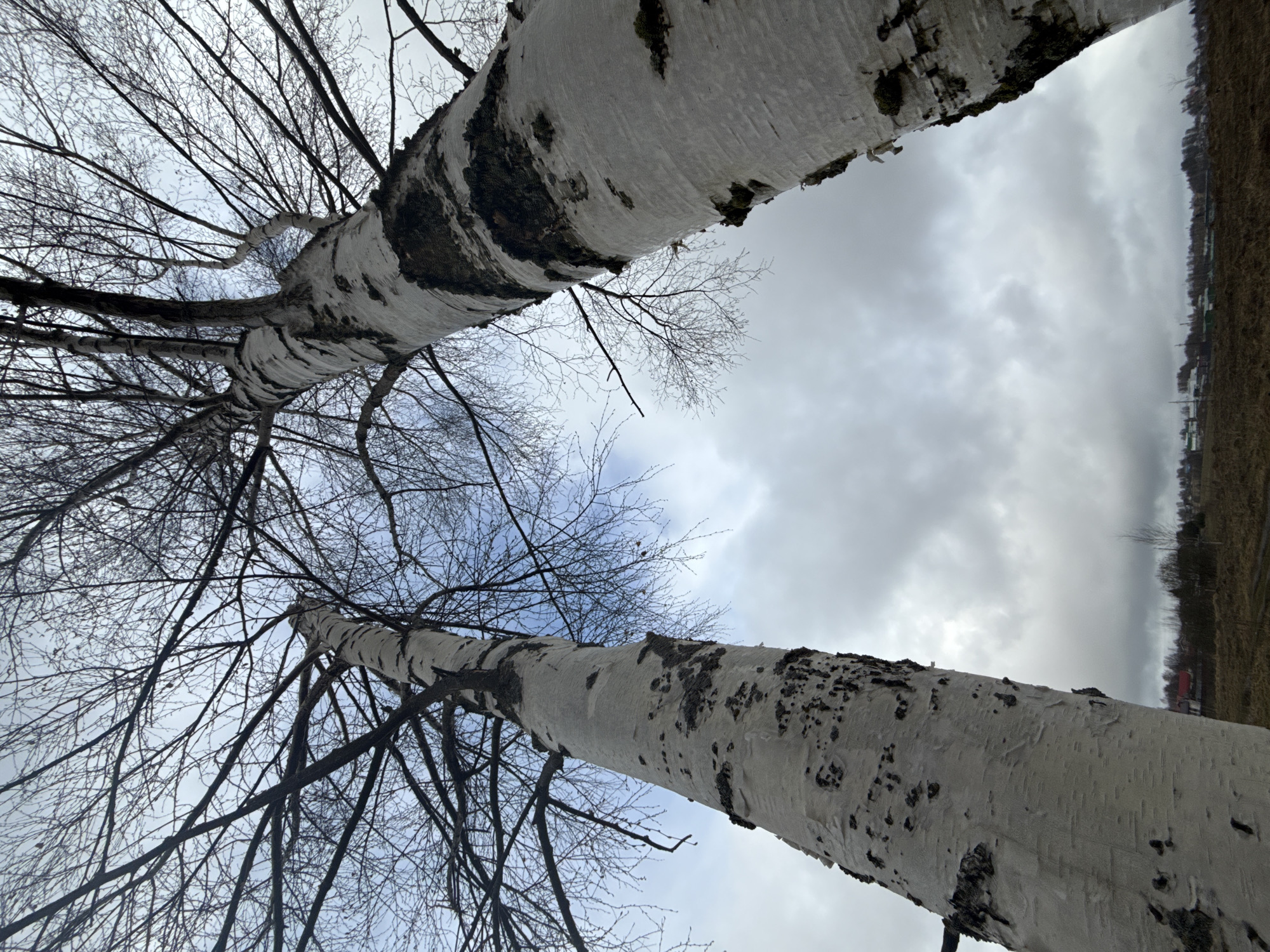 Spring scenes documented in Dmitrov during cloudy April day