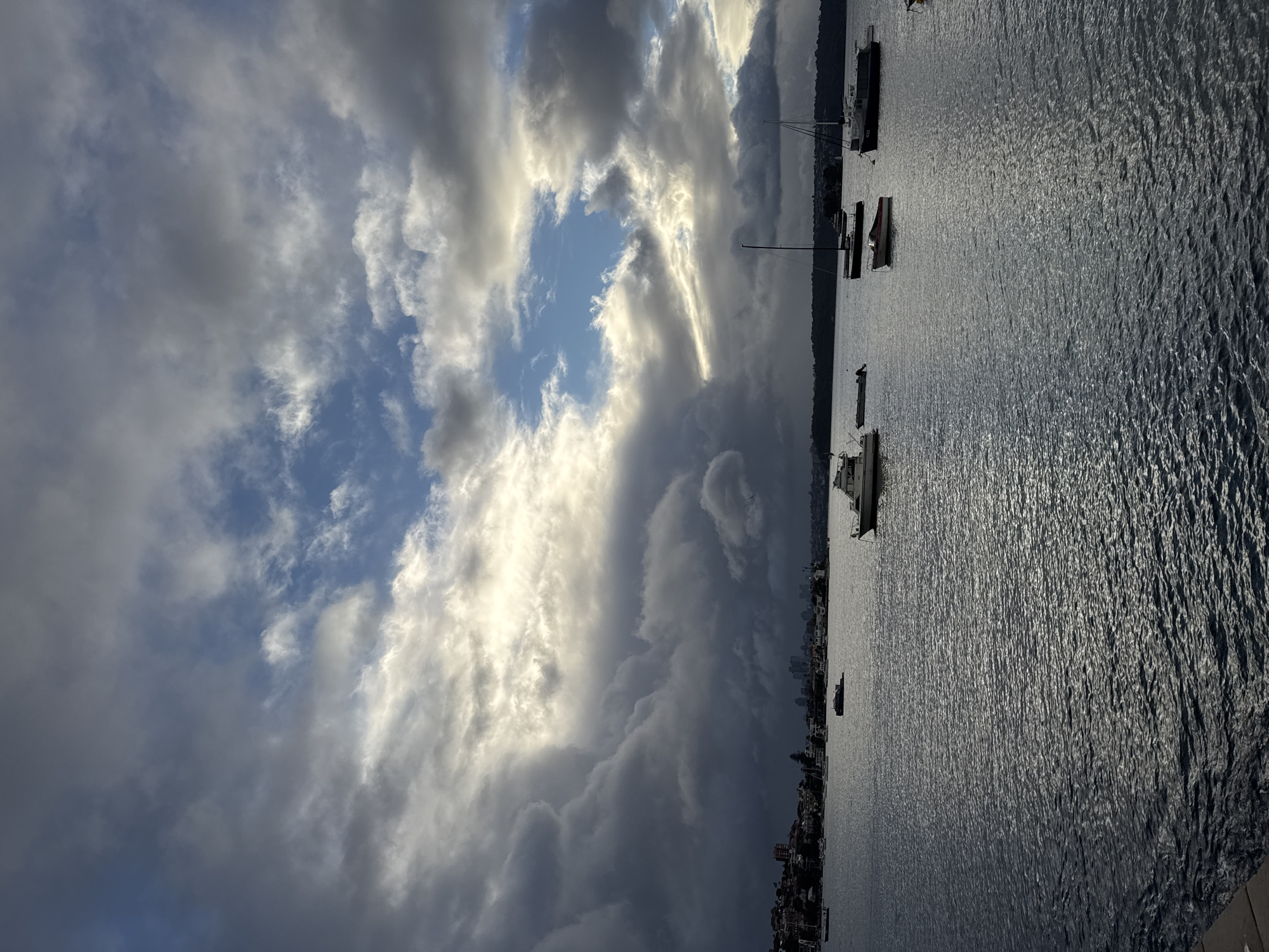 Sydney Harbour under heavy skies, seaplane docked at the pier