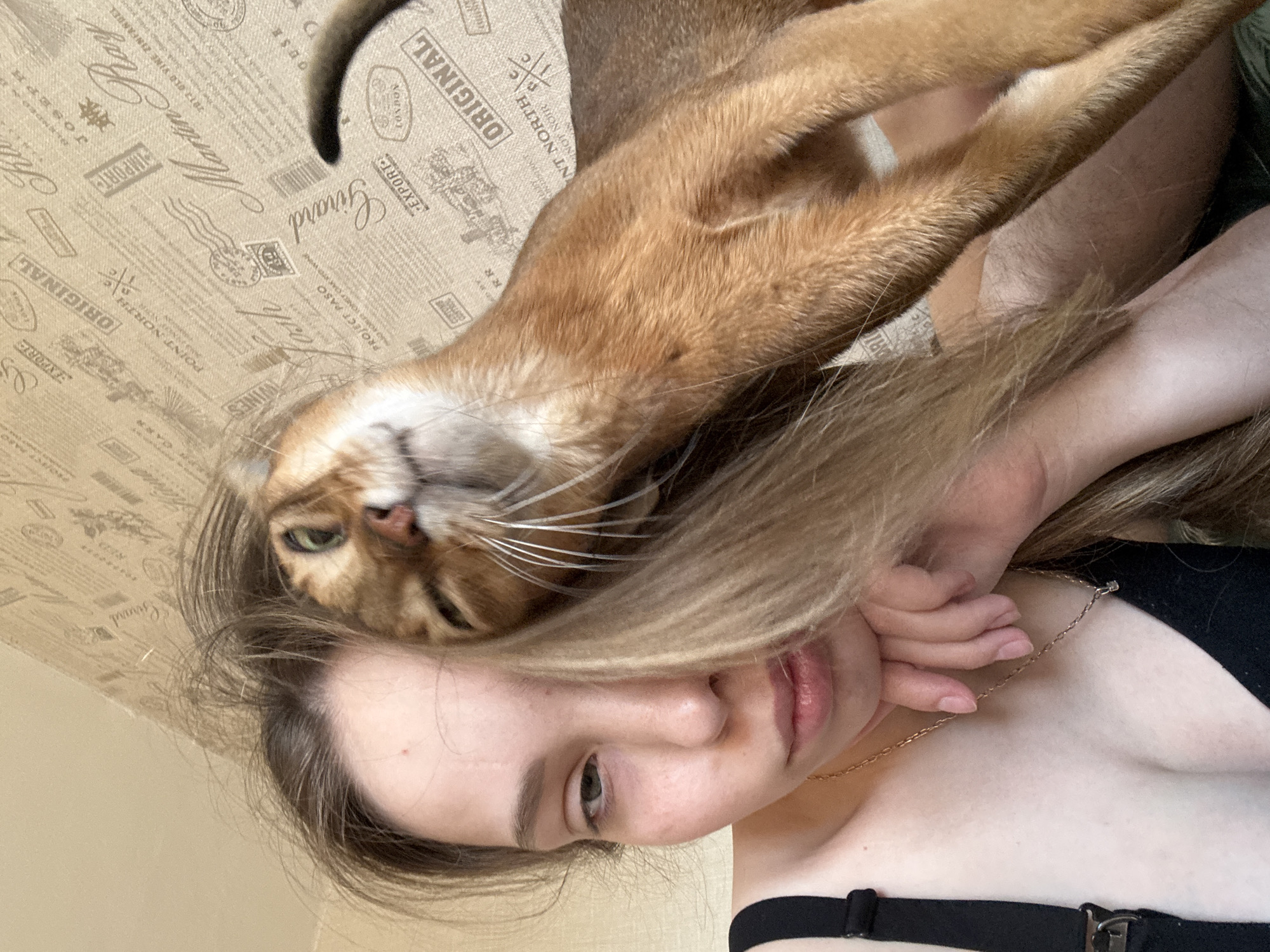 Woman bonds with Abyssinian cat in early morning photos