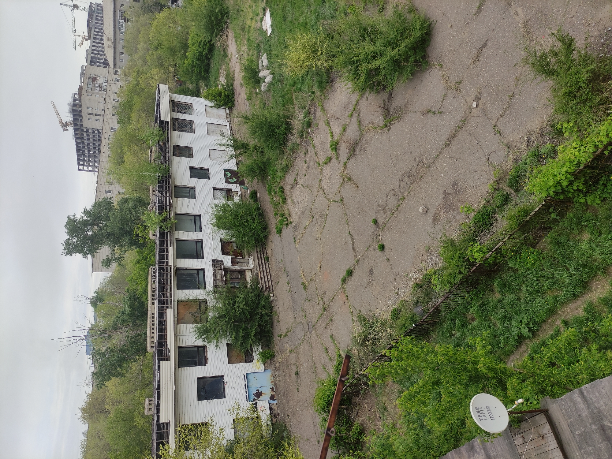 Cats and urban decay documented in Pavlodar, Kazakhstan