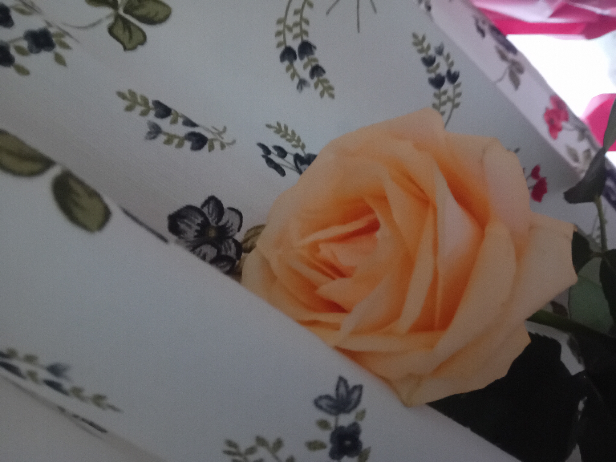 Summer celebration at home in Chuhuiv, cake and flowers