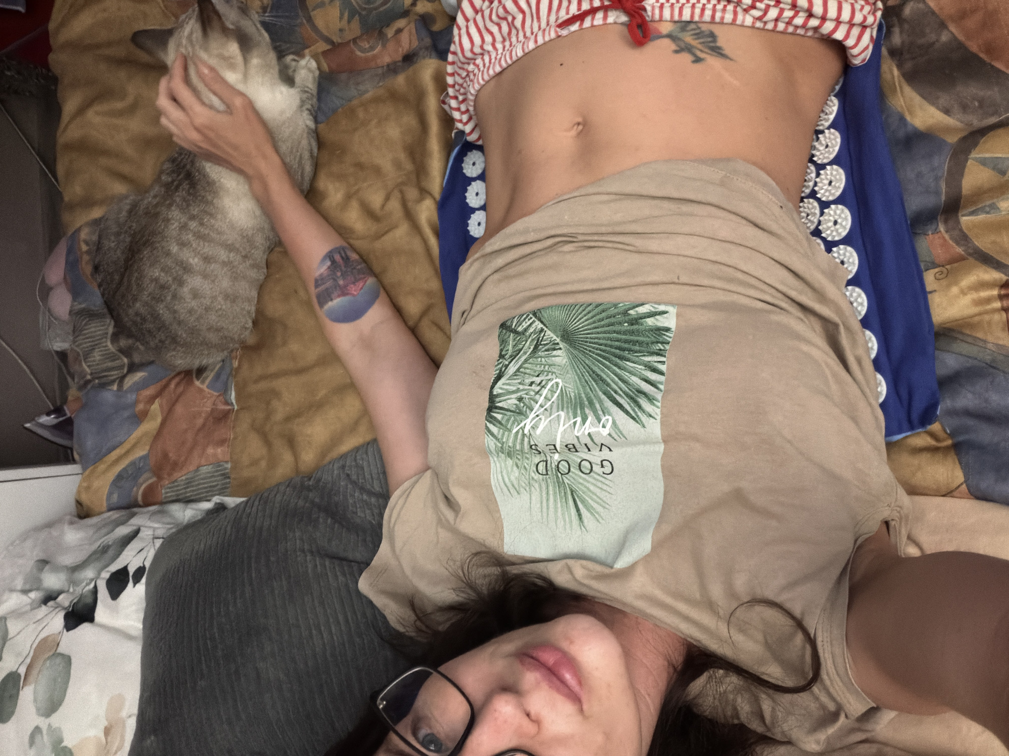 Lazy afternoon in Perm with a tabby cat and good vibes