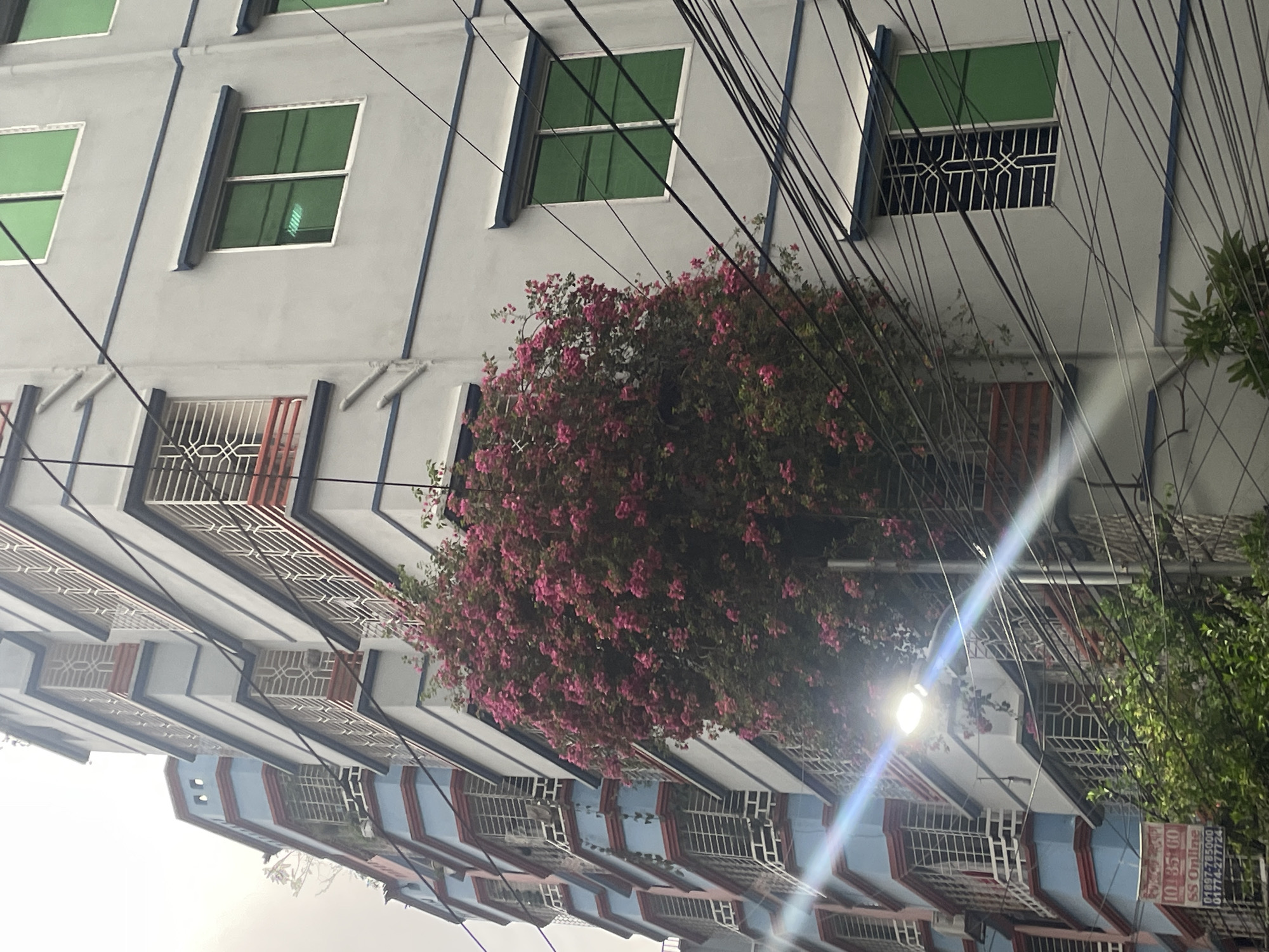 Witness documents ordinary street life across Dhaka neighborhoods