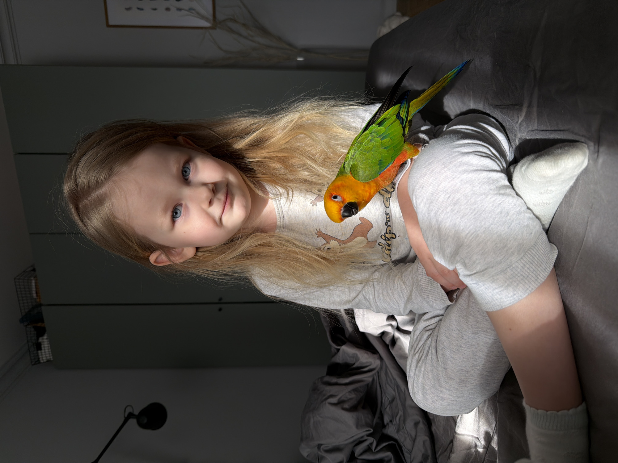 Child plays with Sun Conure parrot in Khimki home
