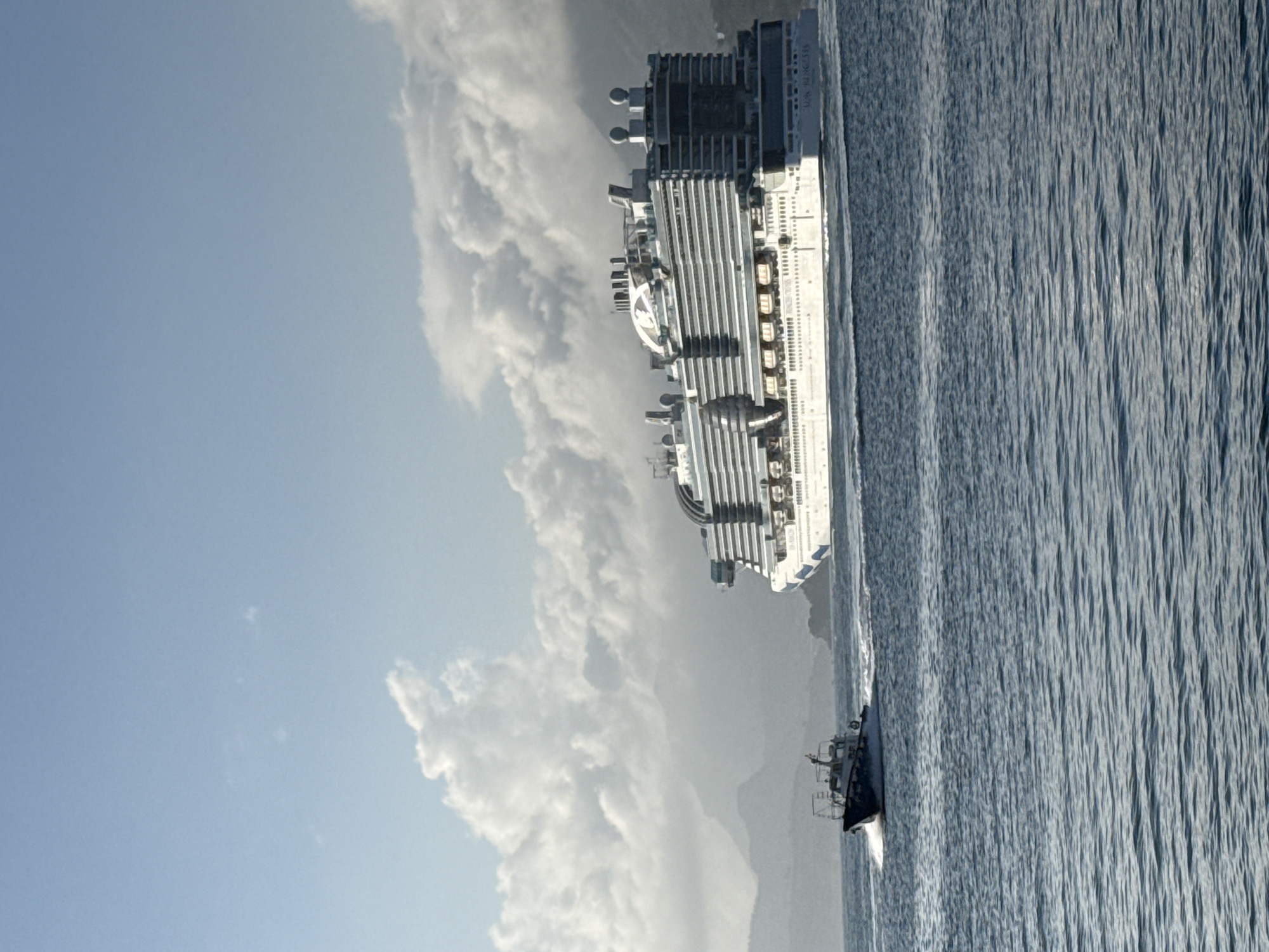 Sun Princess cruise ship sails past Bar, Montenegro coast