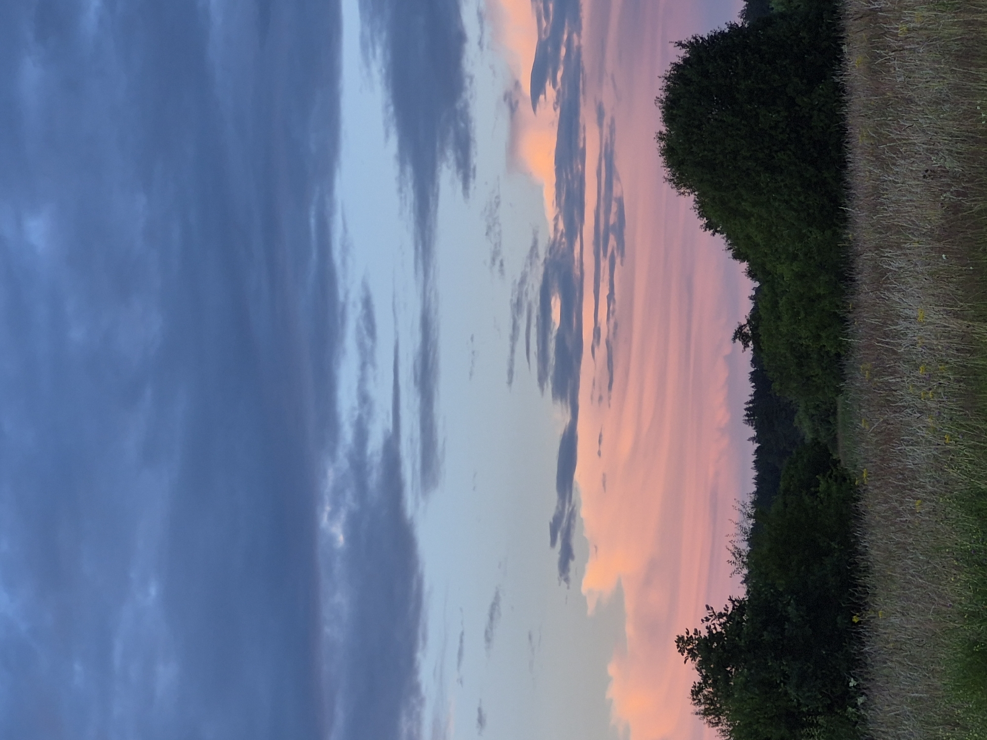 Dusk settles over fields and forest in rural Estonia