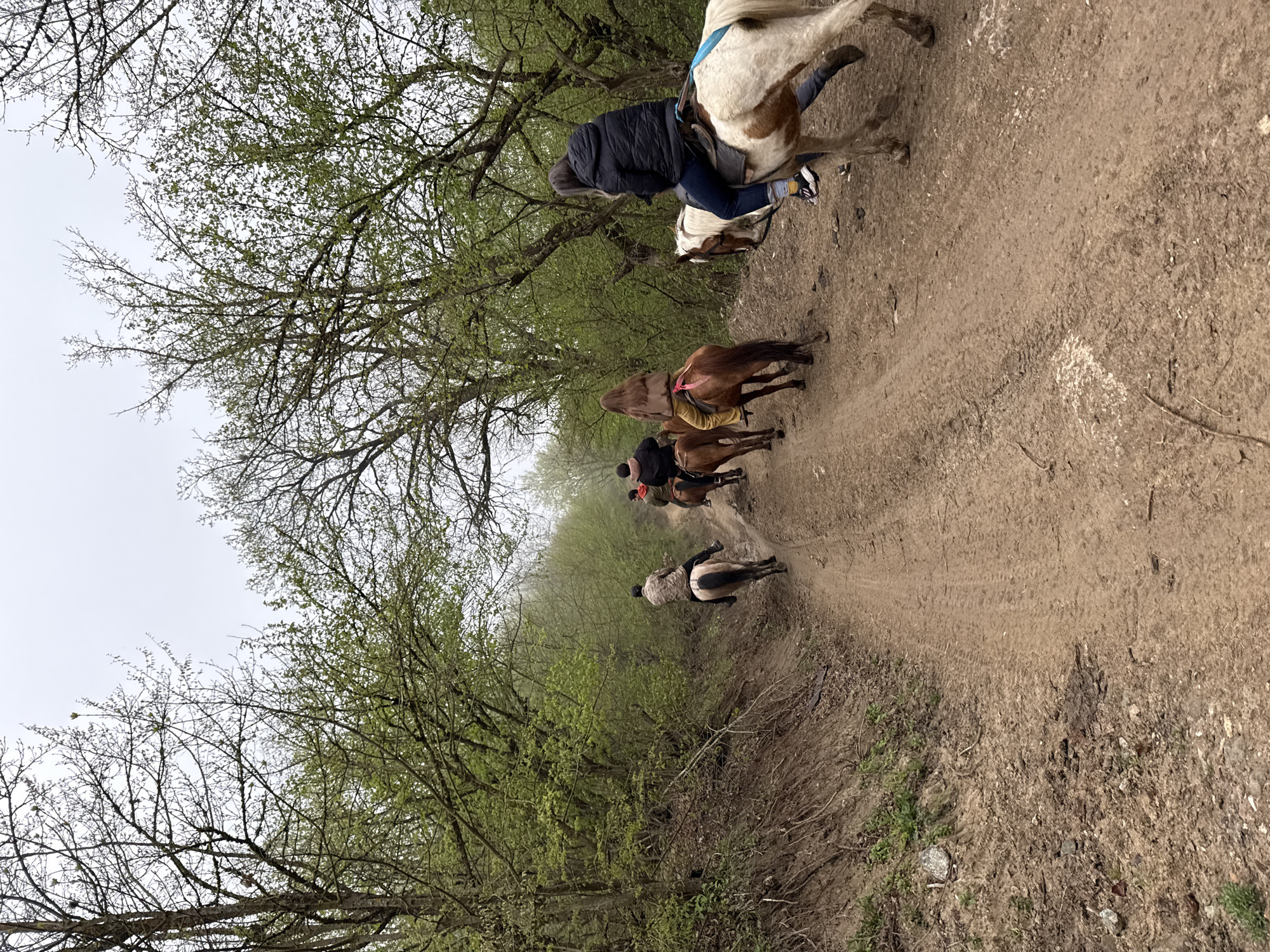 Horseback riders traverse wooded trail near Haghartsin, Armenia