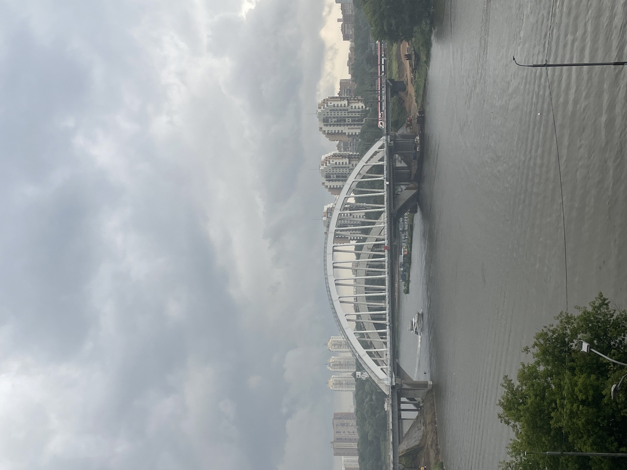 A lazy July afternoon in Khimki — river, park, and pets