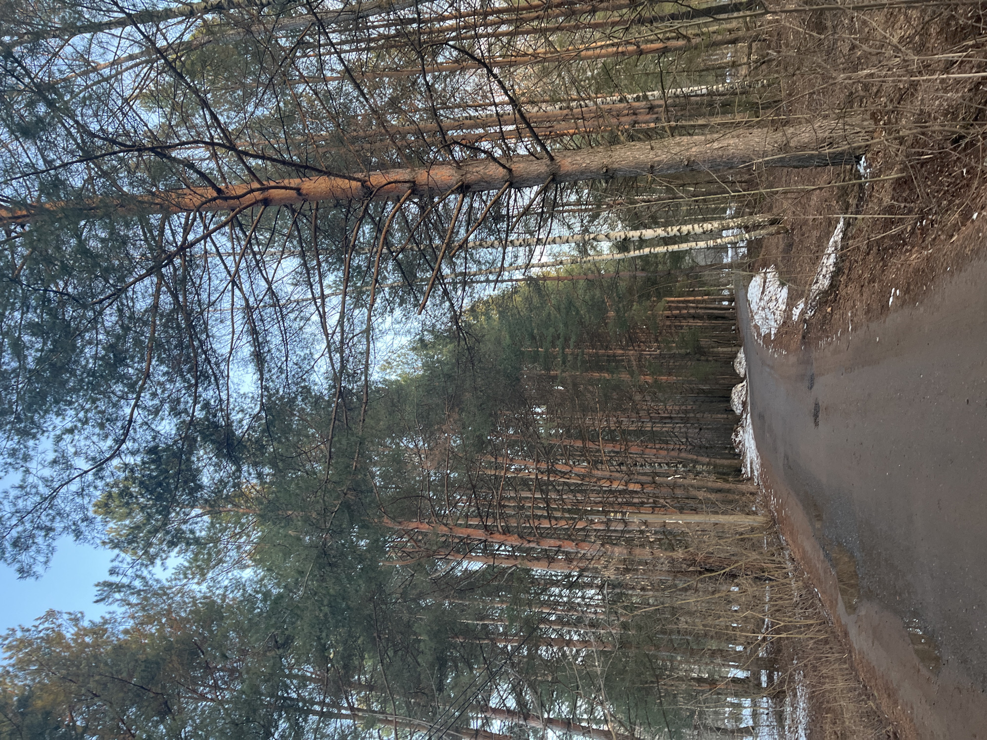 Woman documents gym visit and forest scenes in Chaikovsky