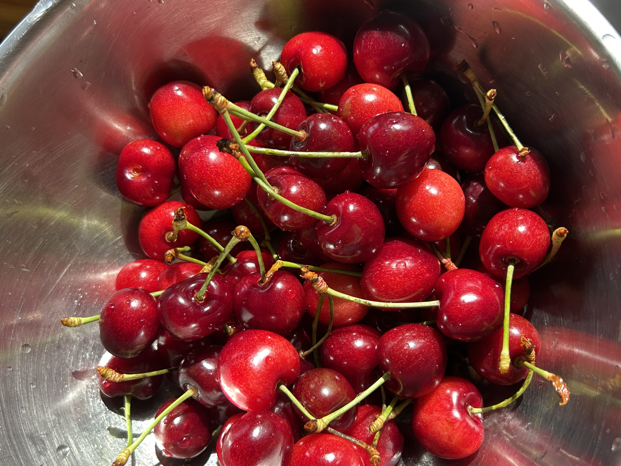 Everyday moments captured: wet cherries and cloudy skies
