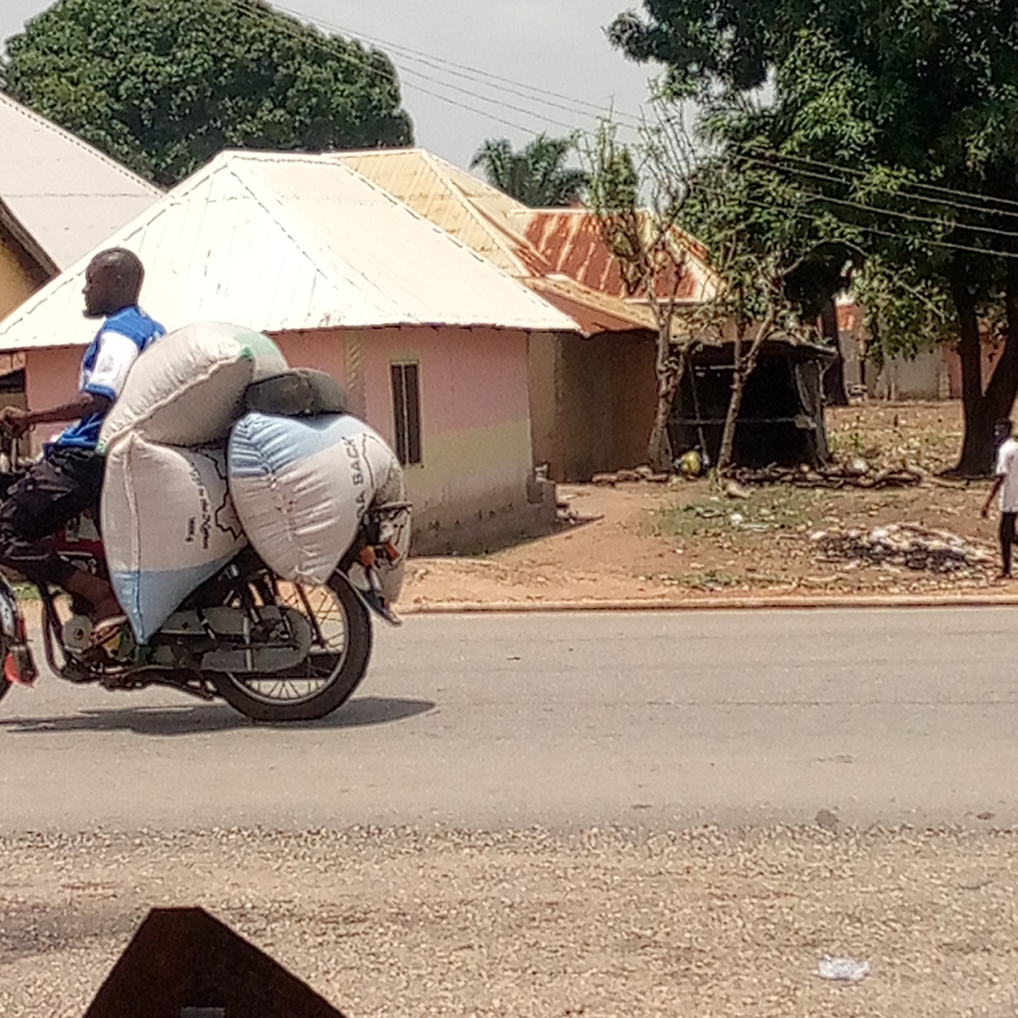 Motorcyclist transports large sacks through rural area