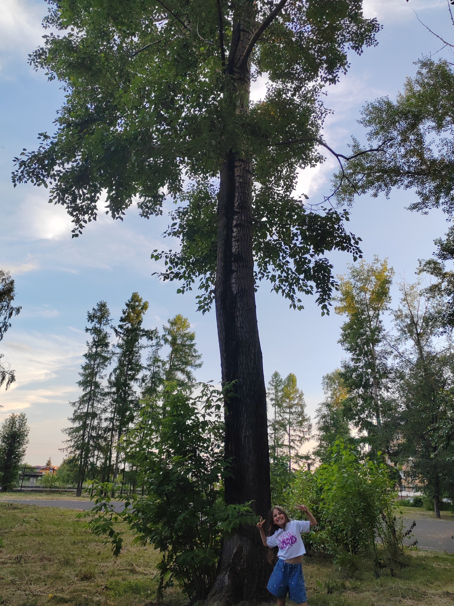 Sunny afternoon in a Kemerovo park: volleyball, bikes, and nature