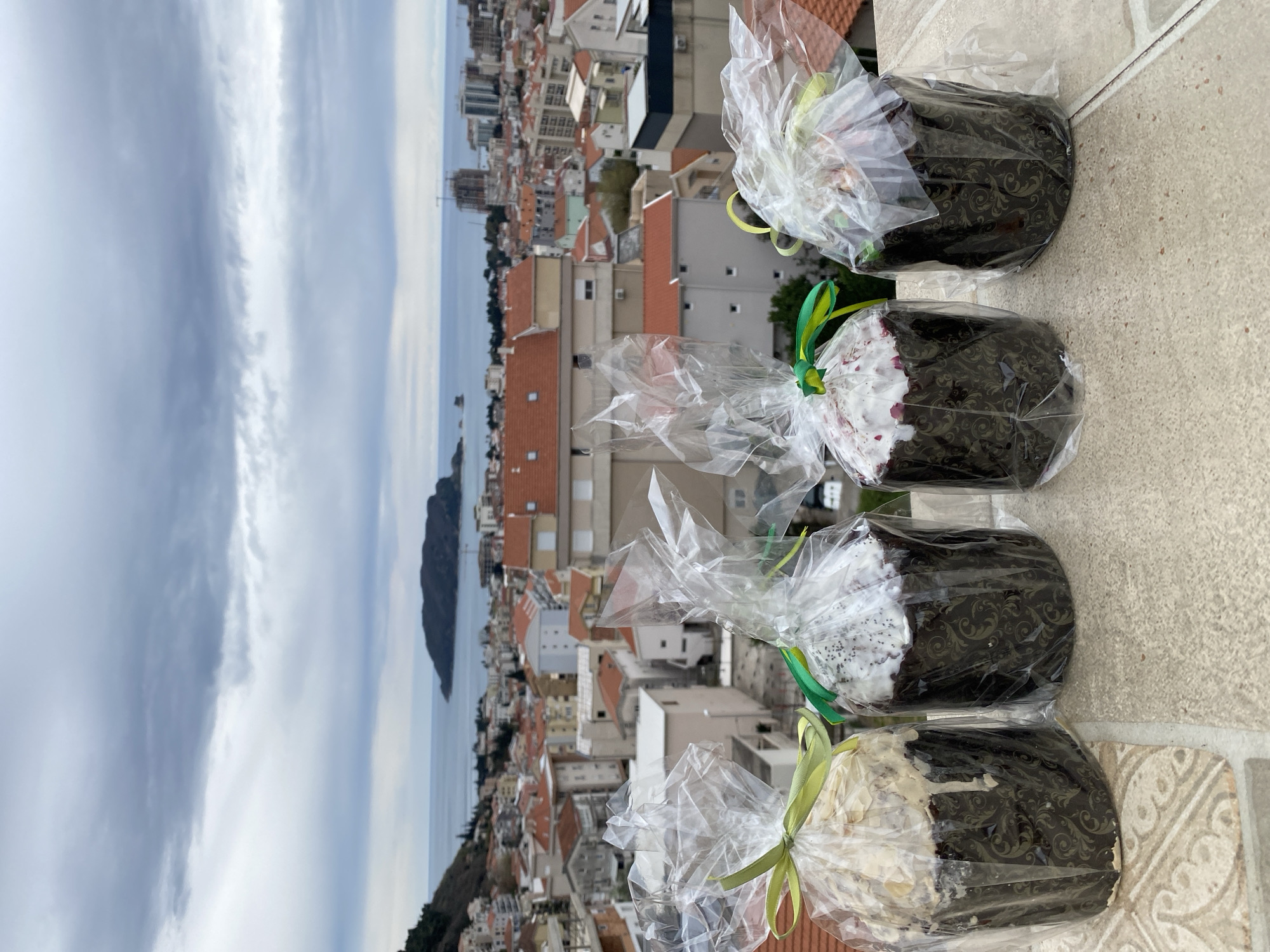 Morning observations capture Budva's urban coastline and natural flora