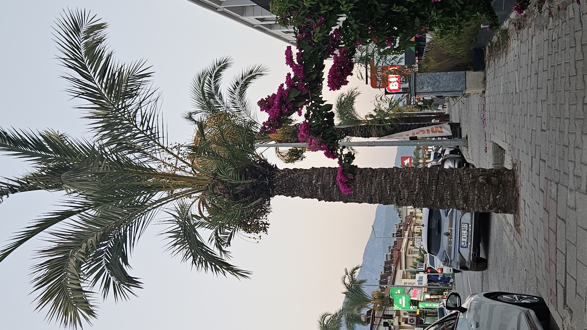 Fethiye streets and shoreline on a summer afternoon