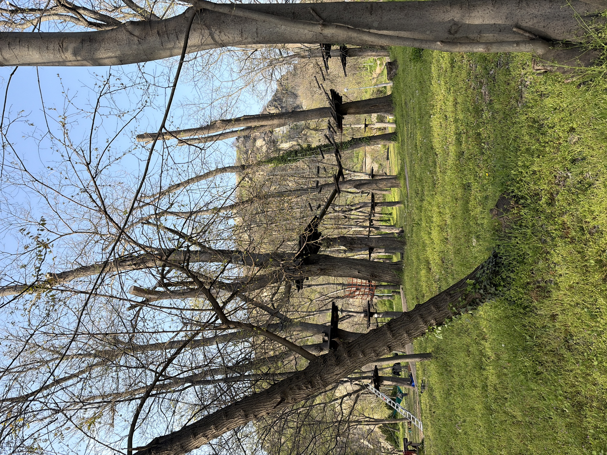 Spring park scenes documented in Plovdiv, Bulgaria
