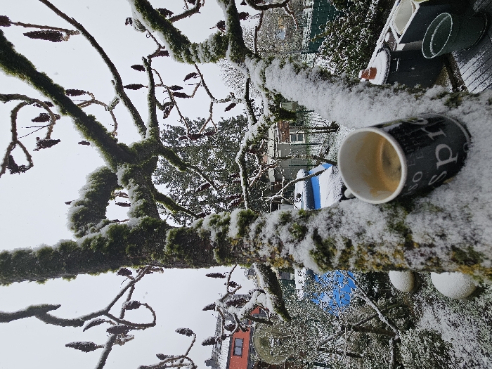 Fresh snow blankets residential Esch-sur-Alzette amid winter weather