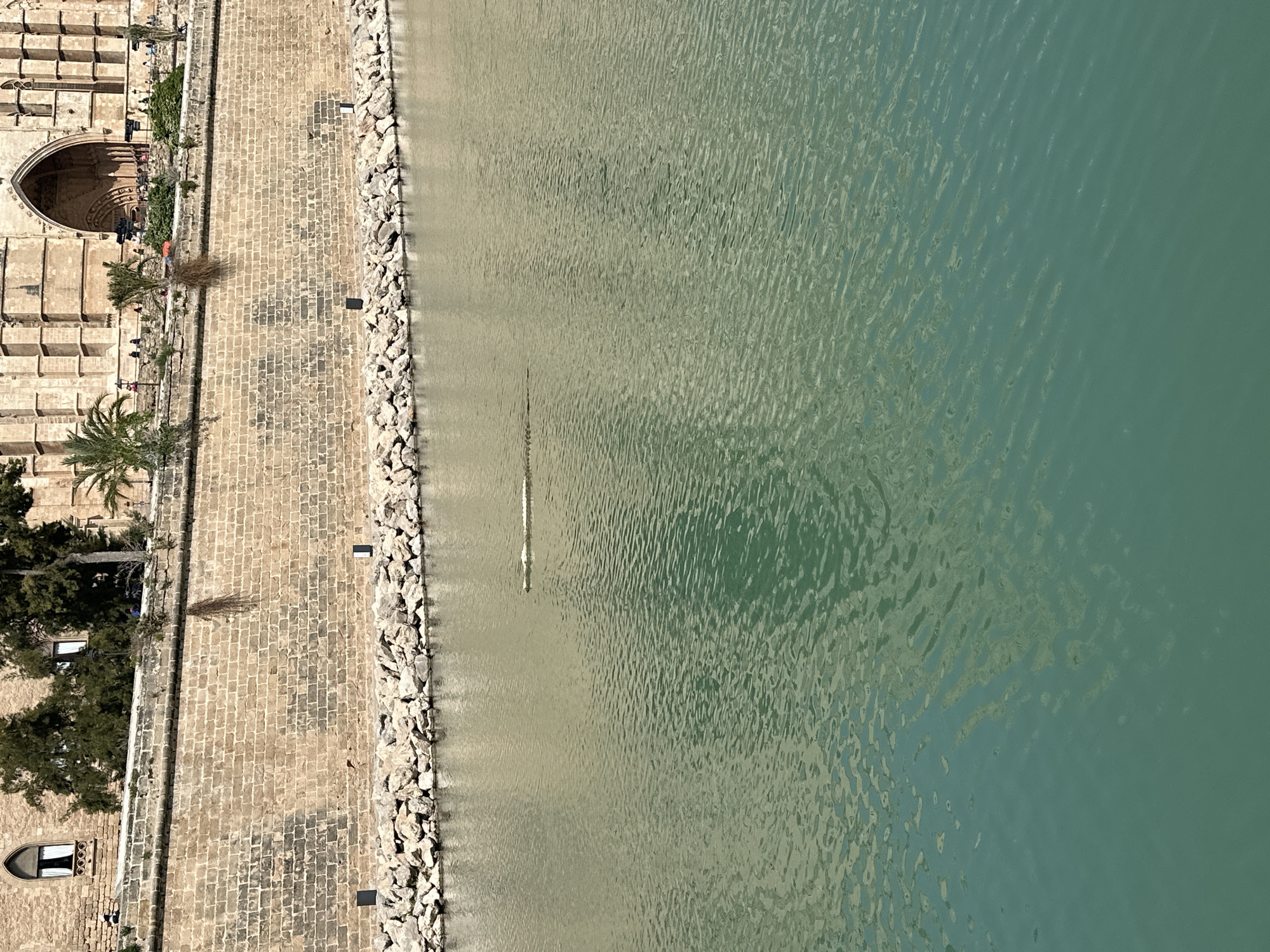 Helicopter flies over Palma cathedral, harbor area documented