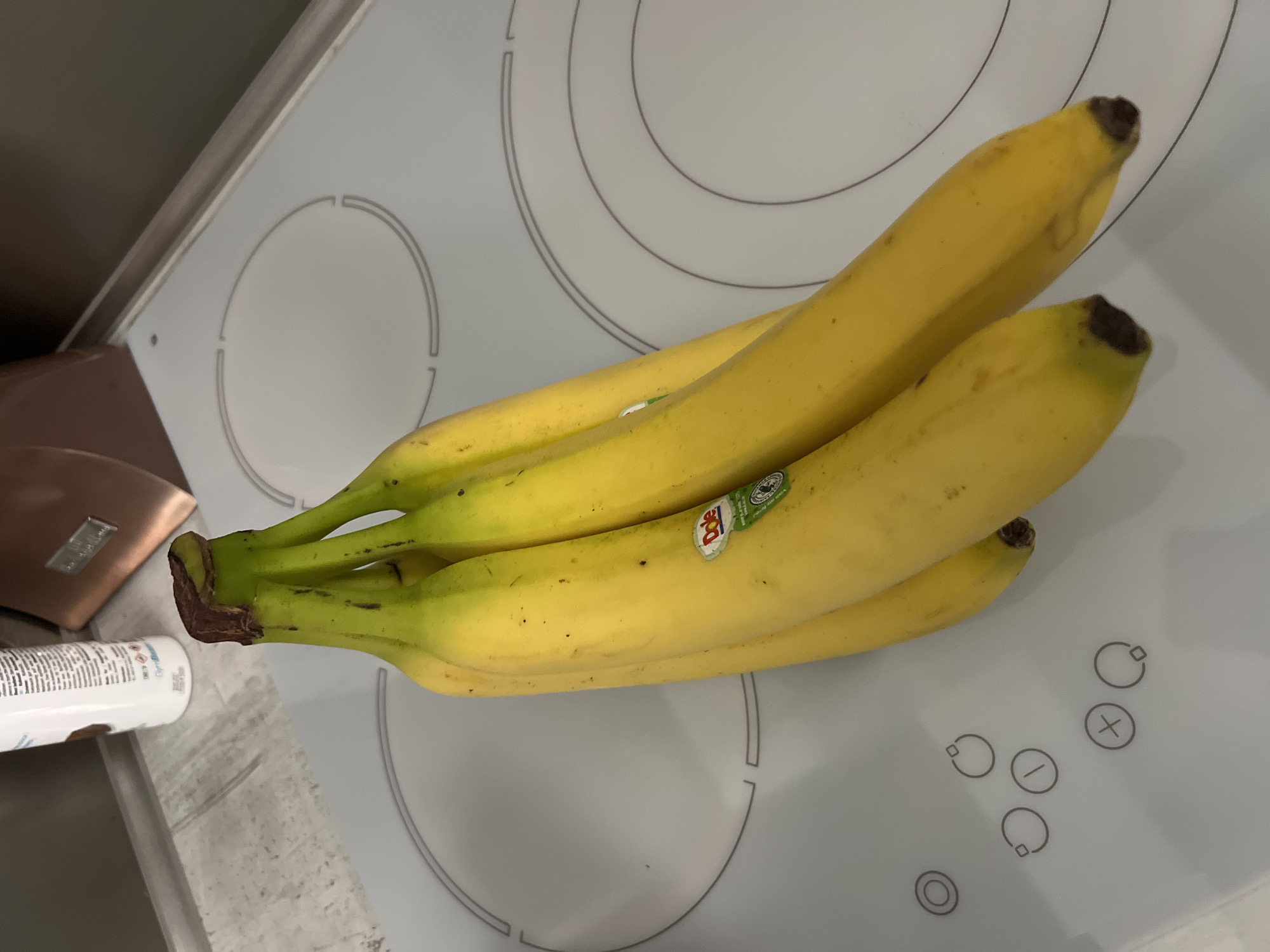 Domestic life documented in Bulgarian home during evening hour
