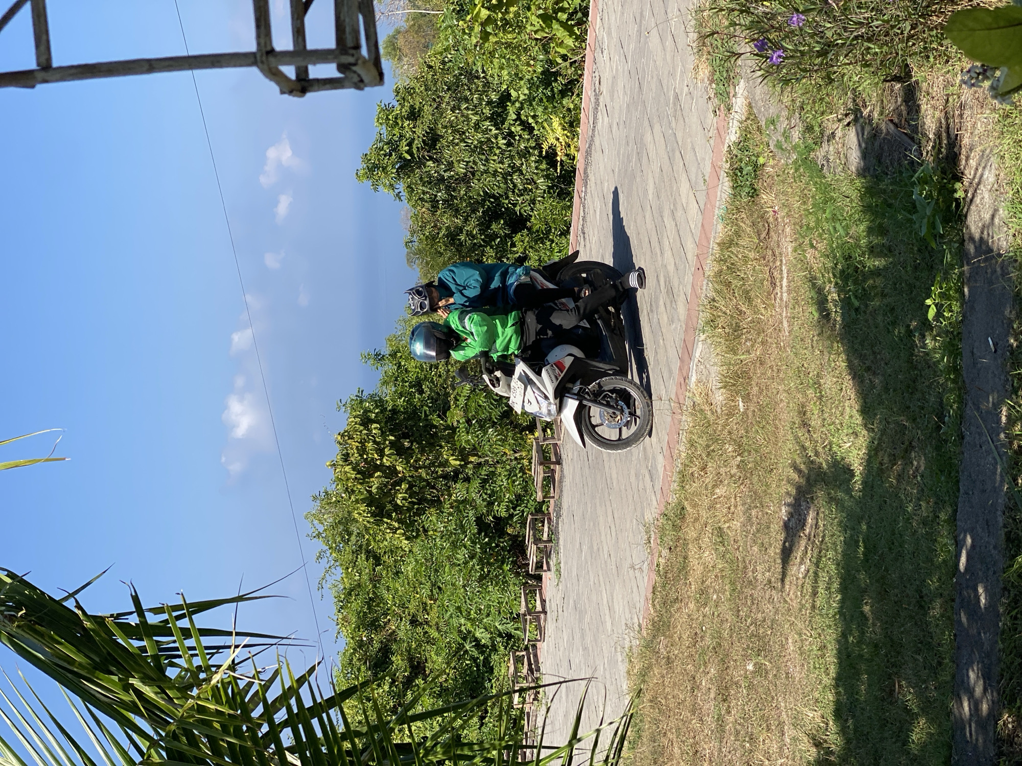 Lazy tropical morning in Kuta Selatan with cats, lizards, and scooters