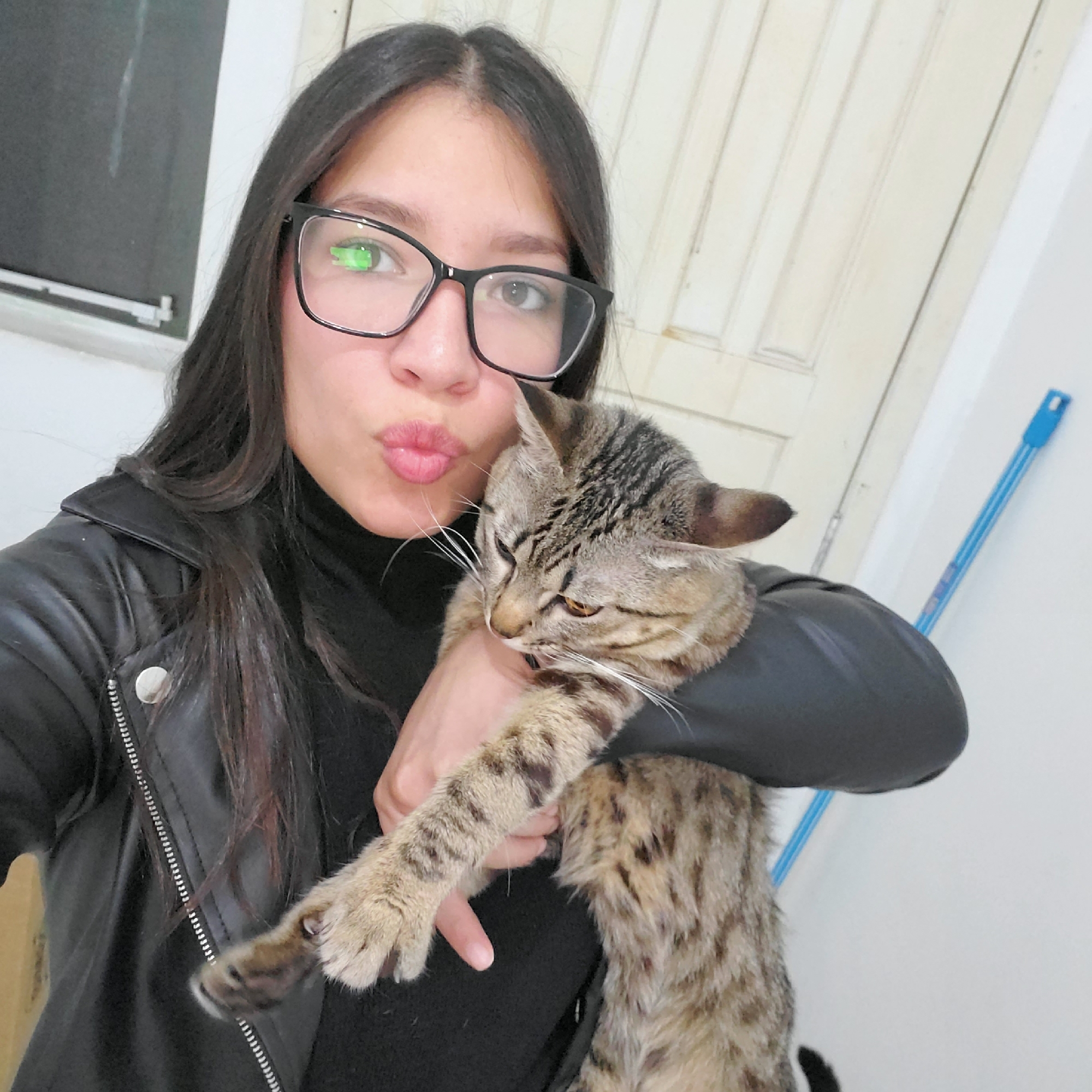 Cat owner introduces tabby to new scratching post in Curitiba