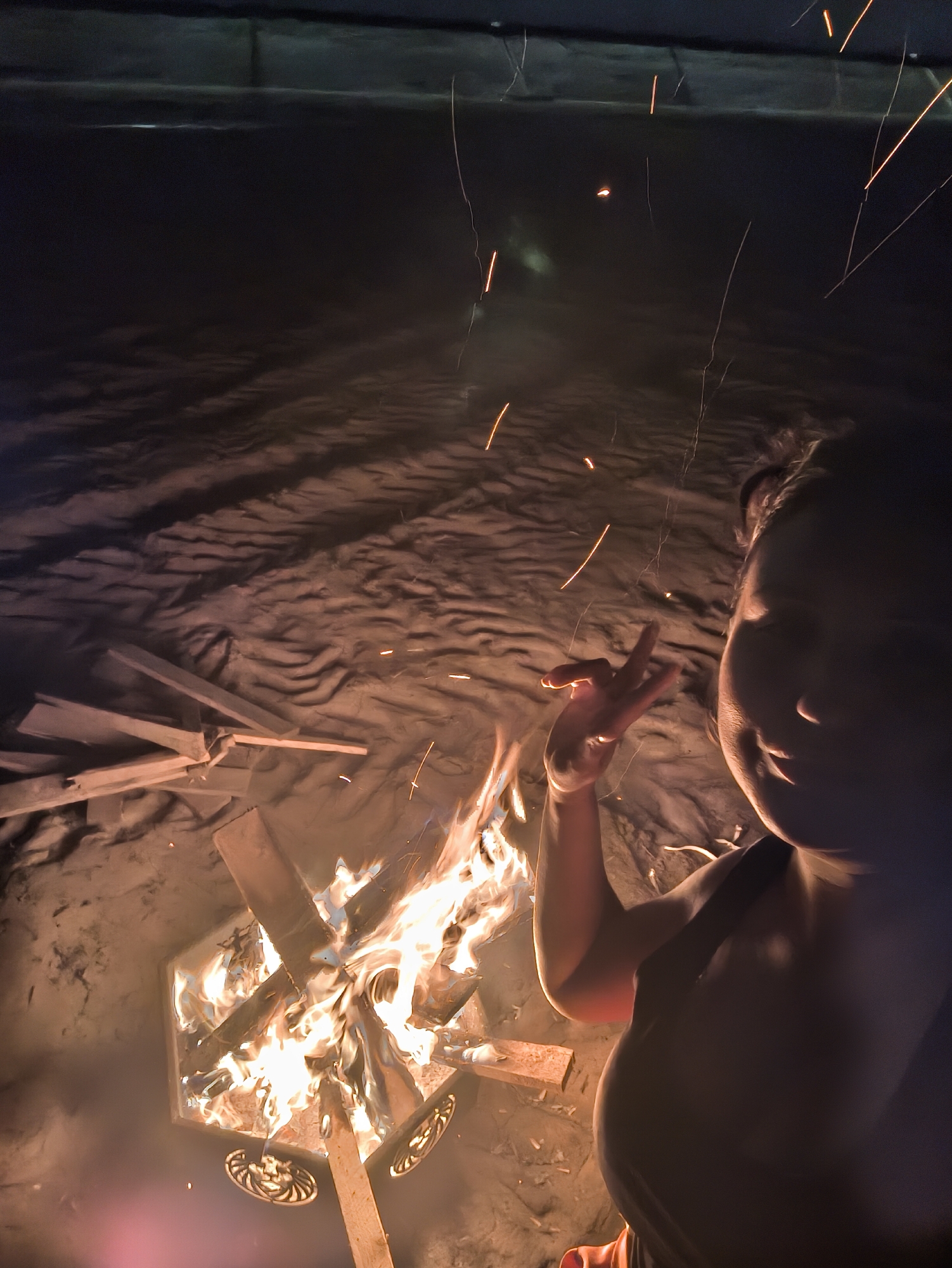 Evening fire pit gathering documented in Сокуры, Russia