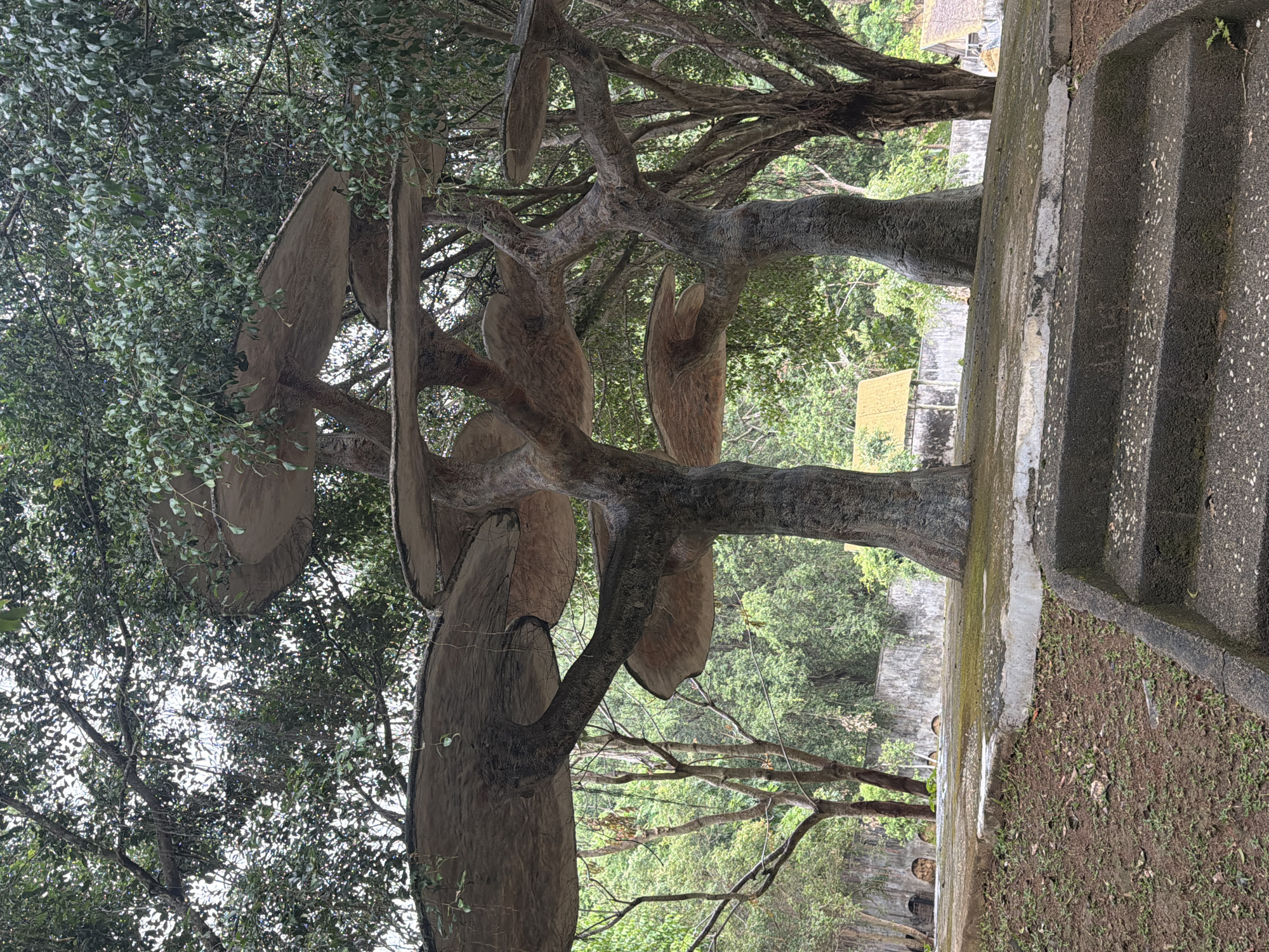 Tourist visits animal park and art installations in Khánh Vĩnh