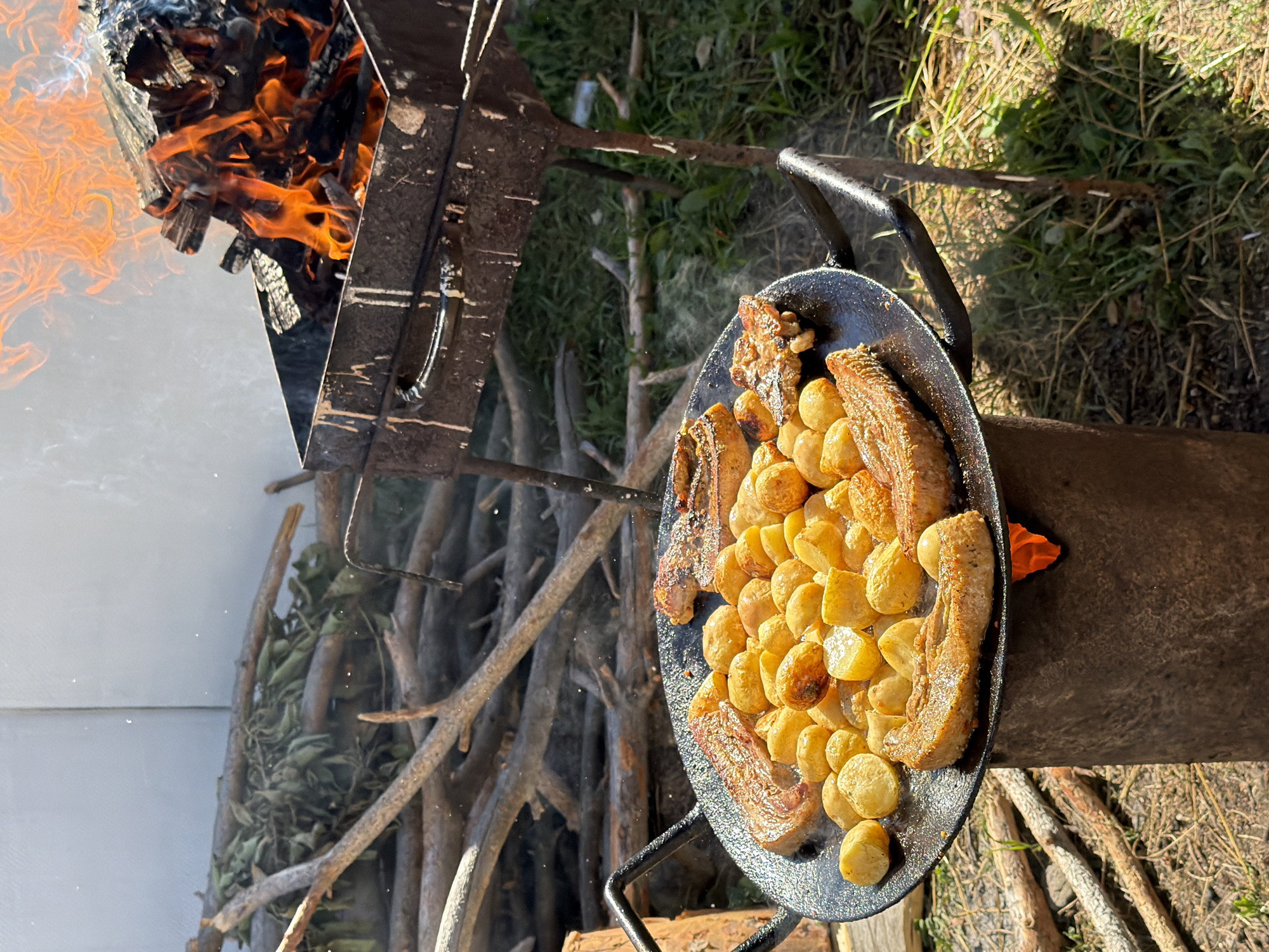 Roasting potatoes over an open fire pit outdoors.
