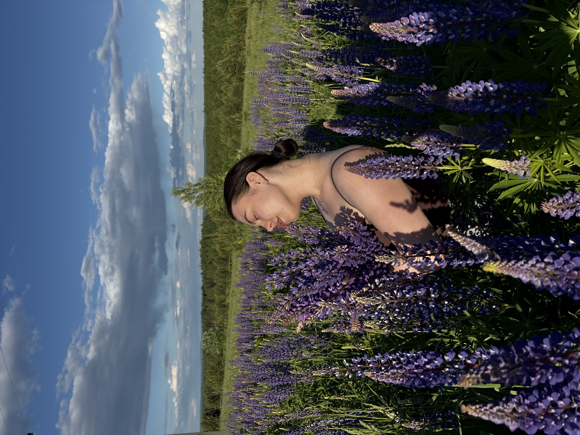 Woman rests peacefully in lupine flower field, Vakhrino