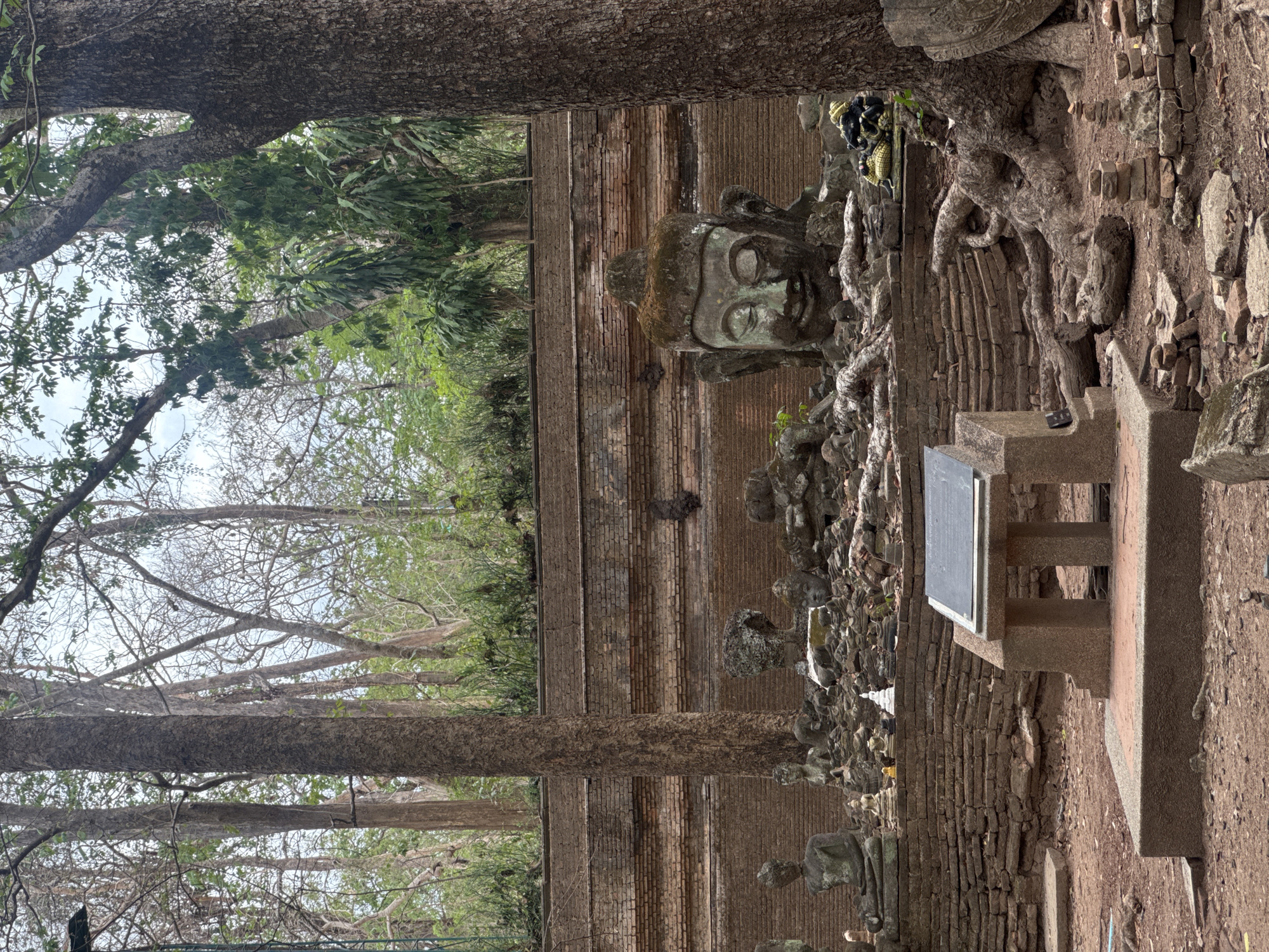 Morning temple visit captures monk, wildlife feeding at Wat Umong