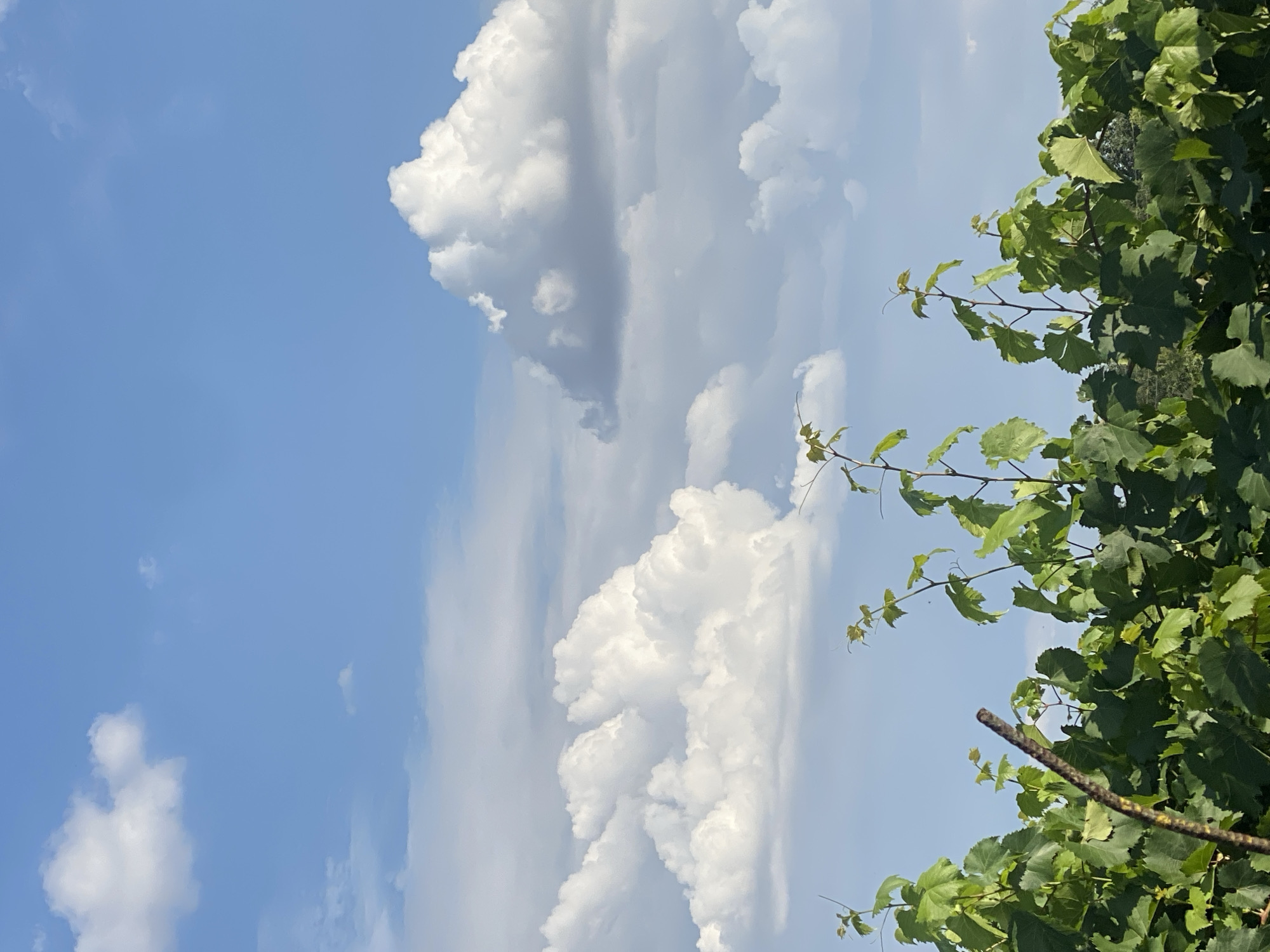 Cairaclia, Moldova