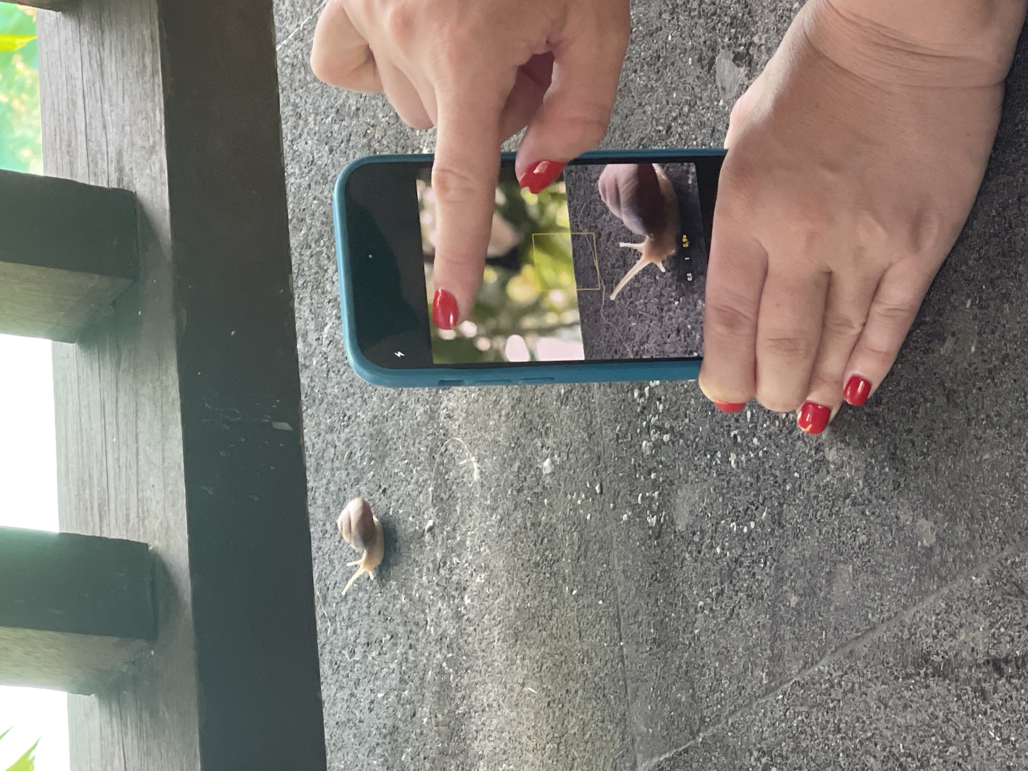 Snail photography and construction work witnessed at same location