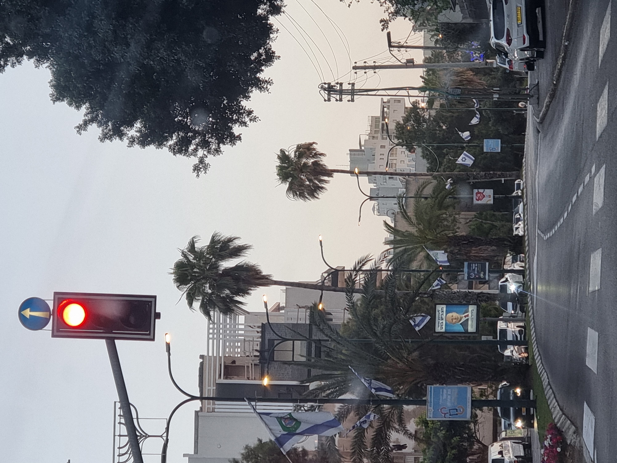 Tel Aviv street scene shows flag-decorated palm-lined roadway