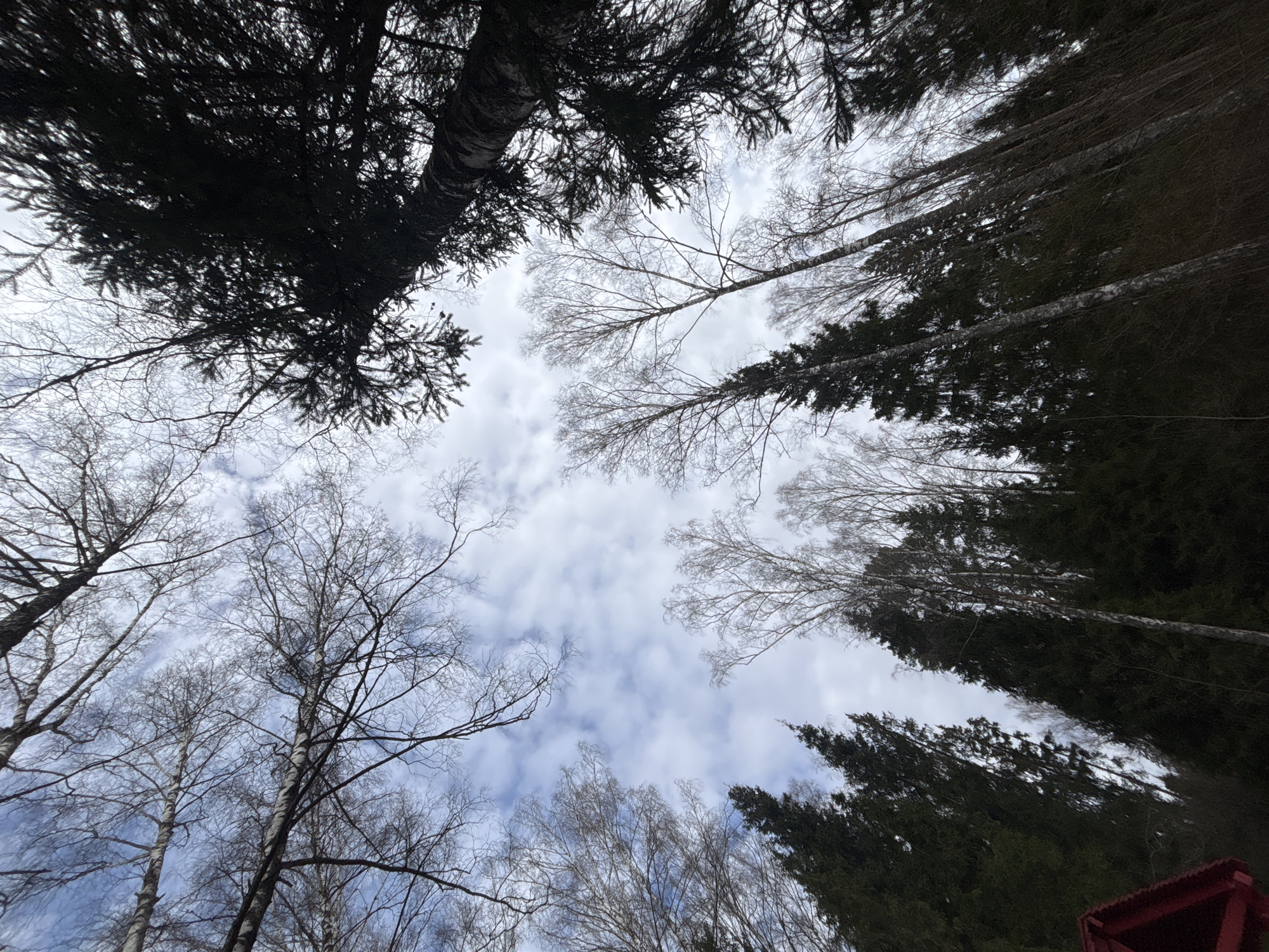 Spring morning scenes captured in rural Russia near Rusino