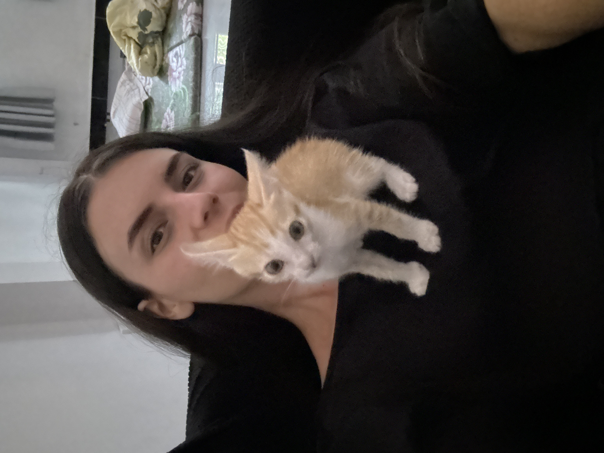 Woman poses with kitten in morning photo session