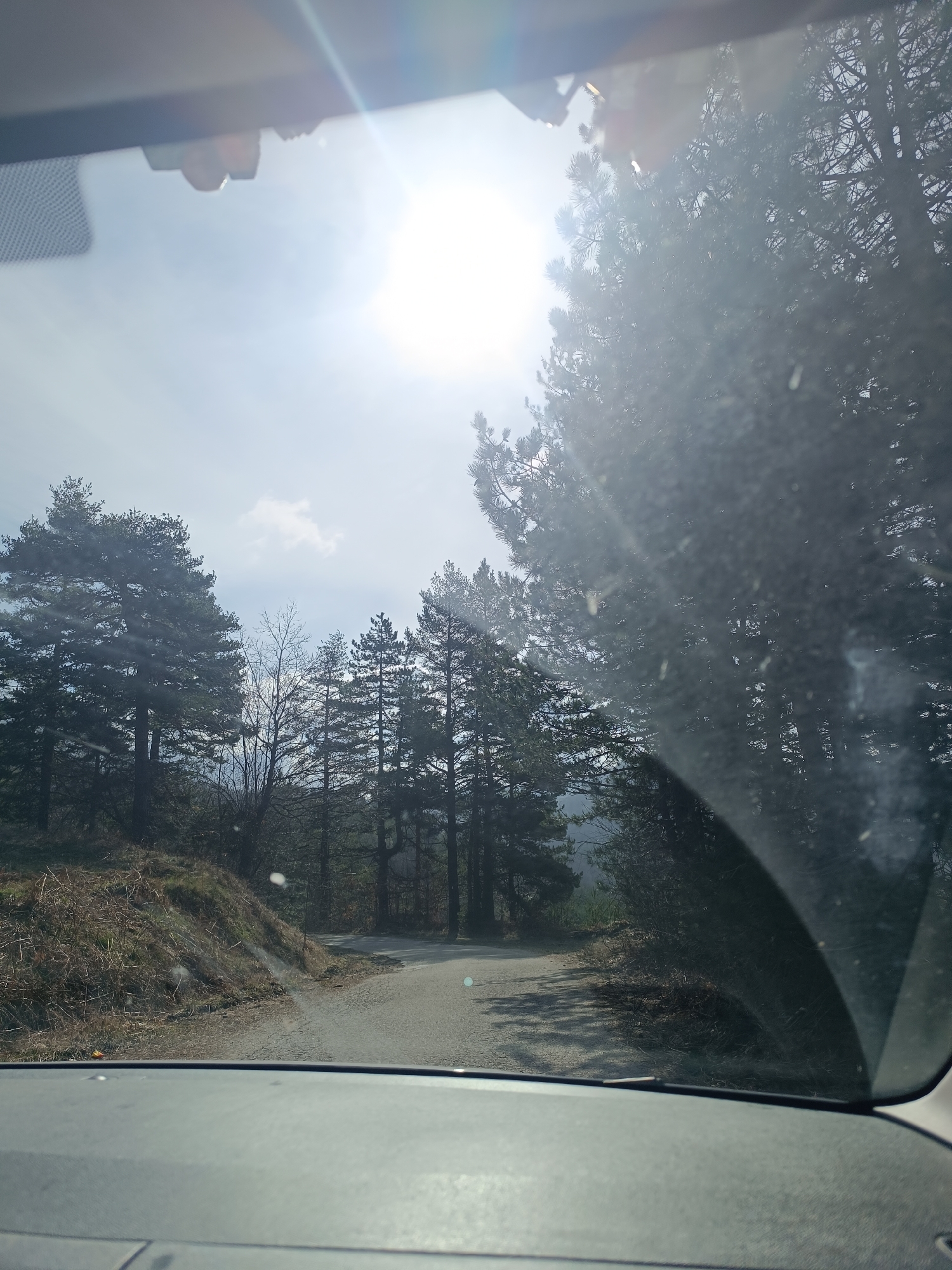 Morning drive through Bulgarian forest near Vrata