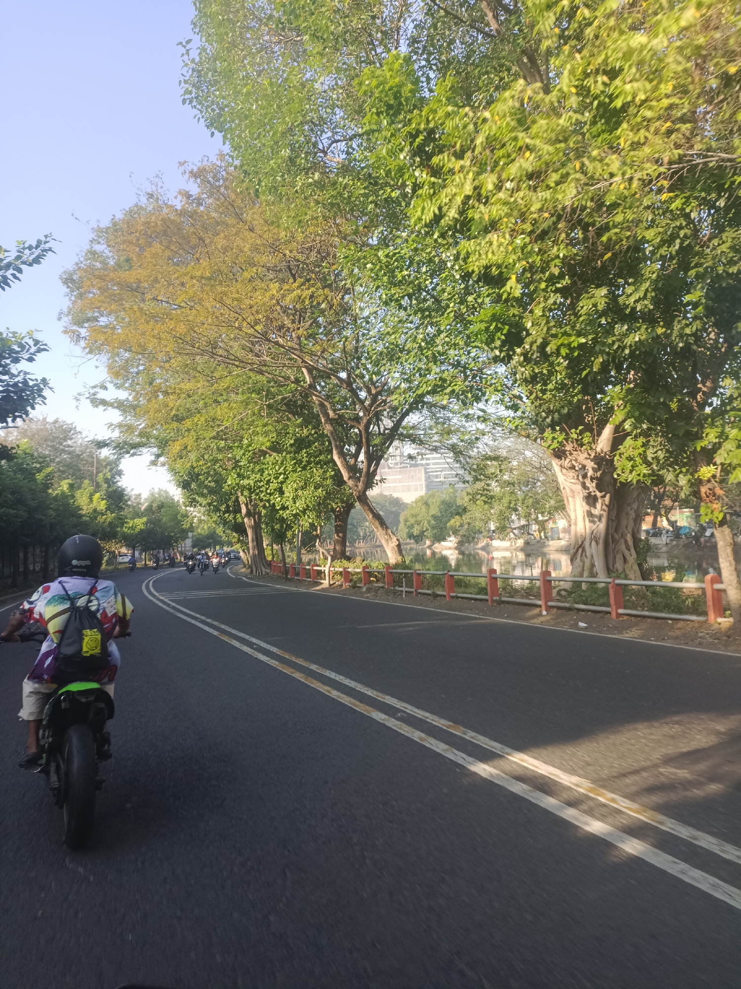 Motorcycles and traffic along a sun-dappled urban road