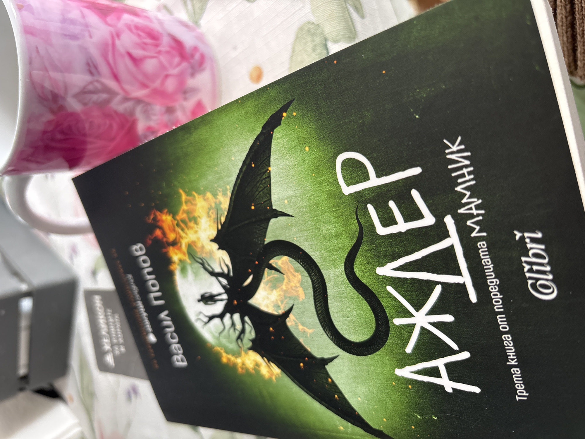 Bulgarian book "Azhaer Mamnik" by Vasil Popov spotted in Pernik
