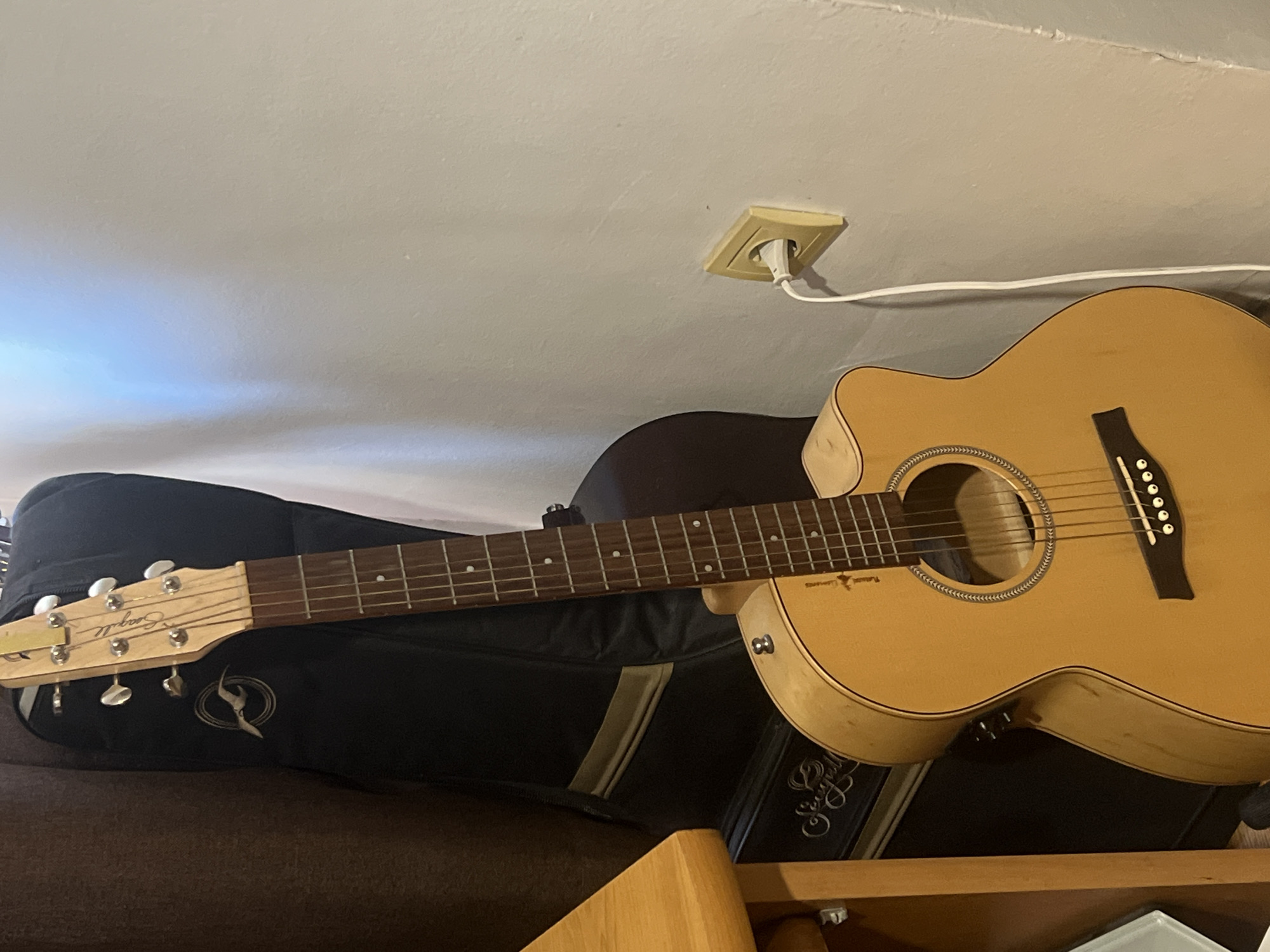 Indoor afternoon with cat, guitar, and gentle petting in Plovdiv