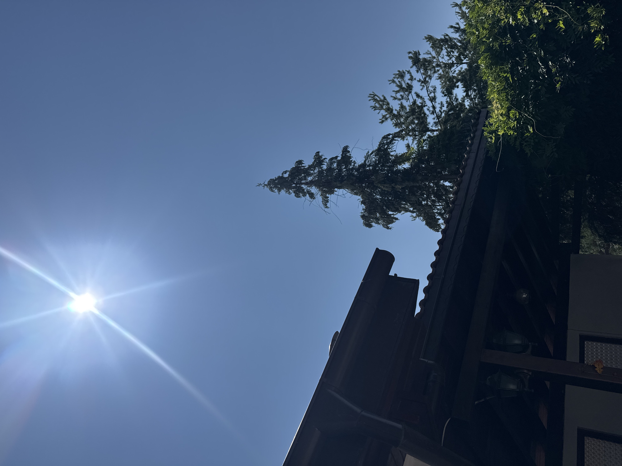Quiet morning on a sun-lit patio with garden details
