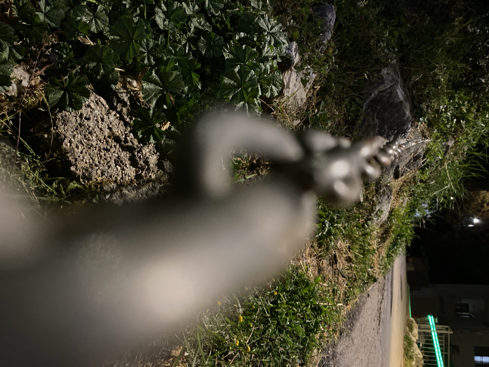 Evening documentation of everyday objects and scenes in Budva