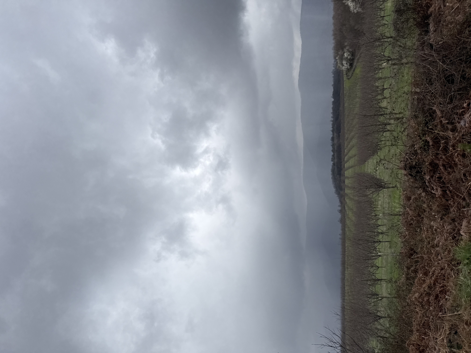 Overcast skies observed over orchard landscape near Ugarchin, Bulgaria