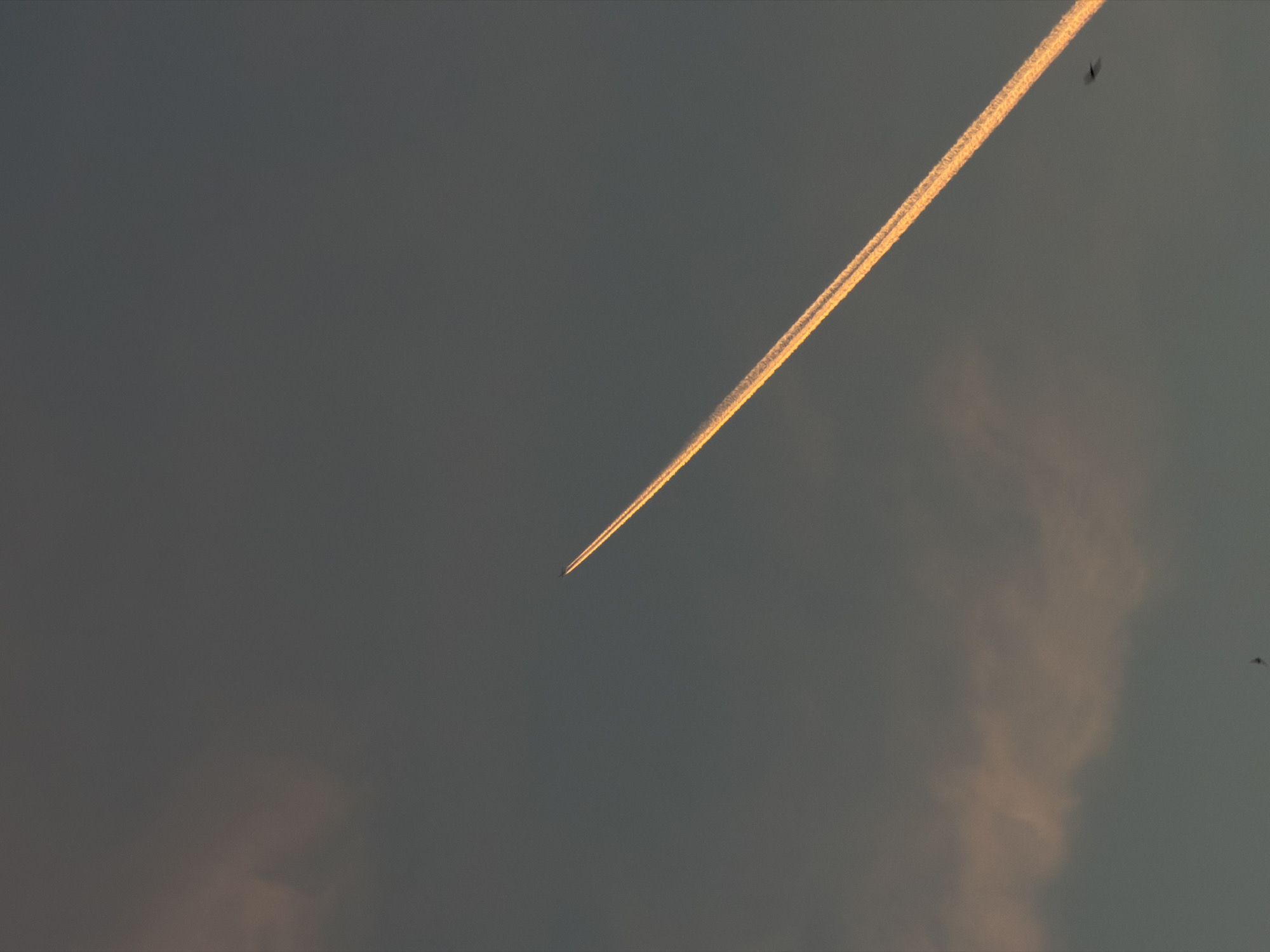 Sunset contrail glows golden against dark skies over Gorzów