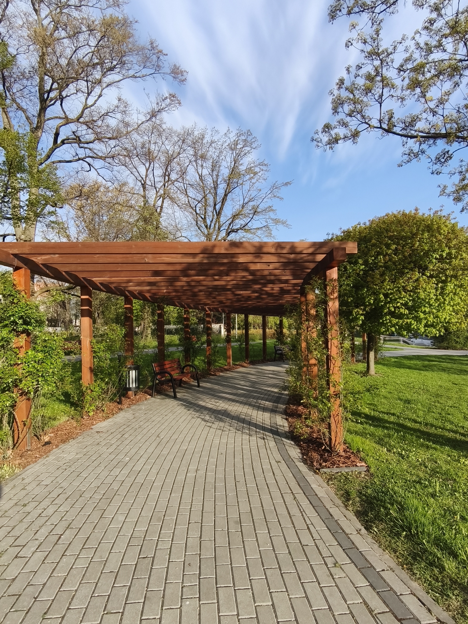 Dawn documentation of curved park pathway under wooden pergola